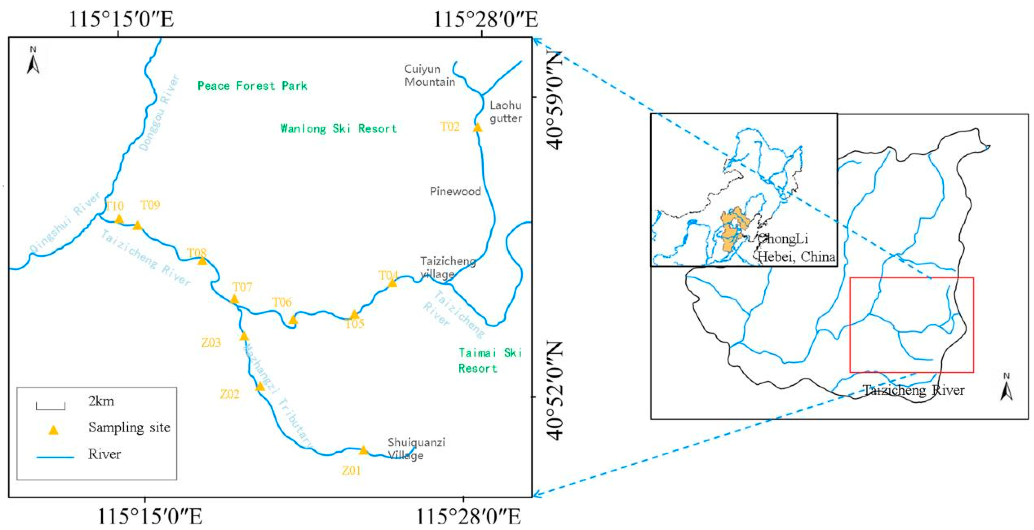 Biology 14 00183 g001