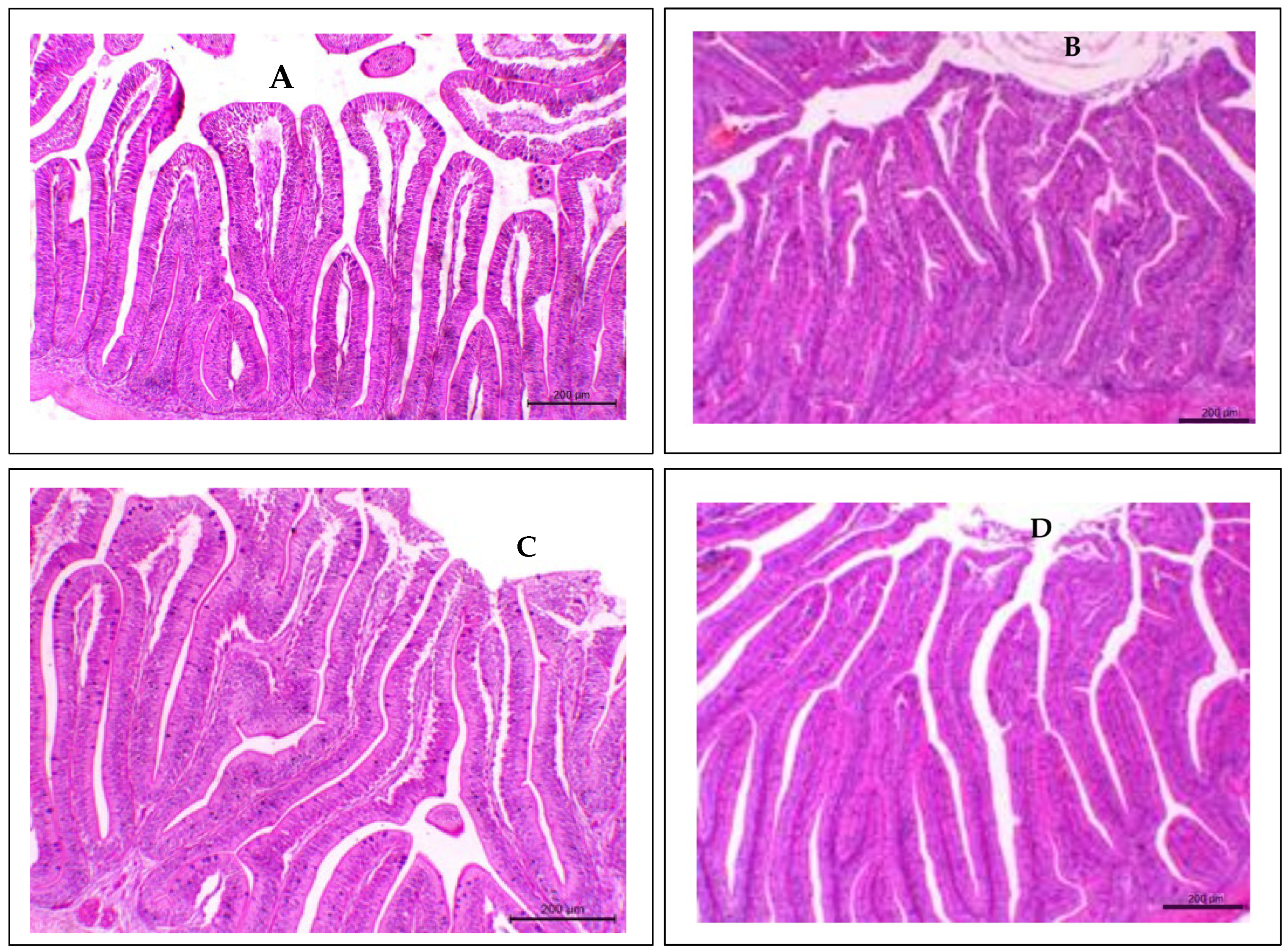 Biology 14 00186 g004