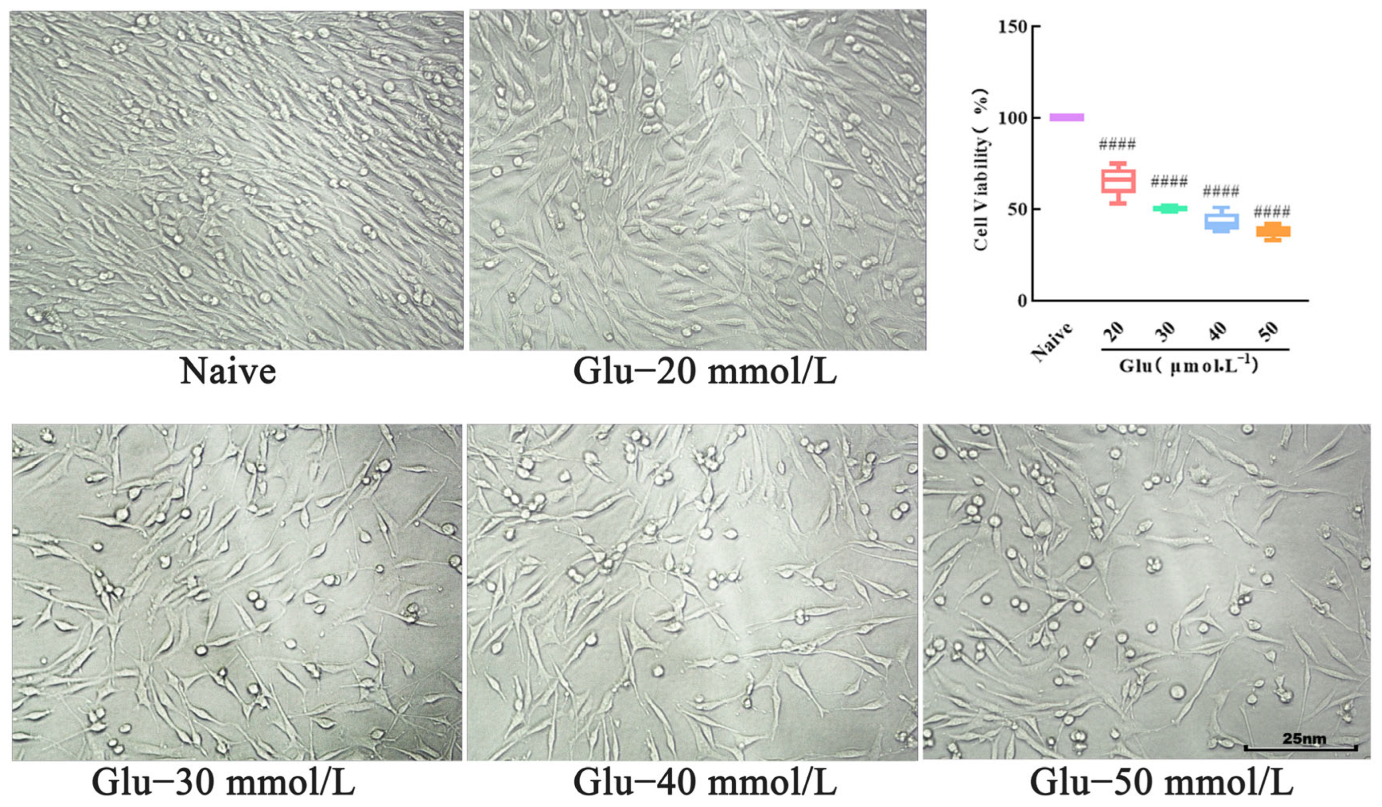 Biology 14 00193 g007