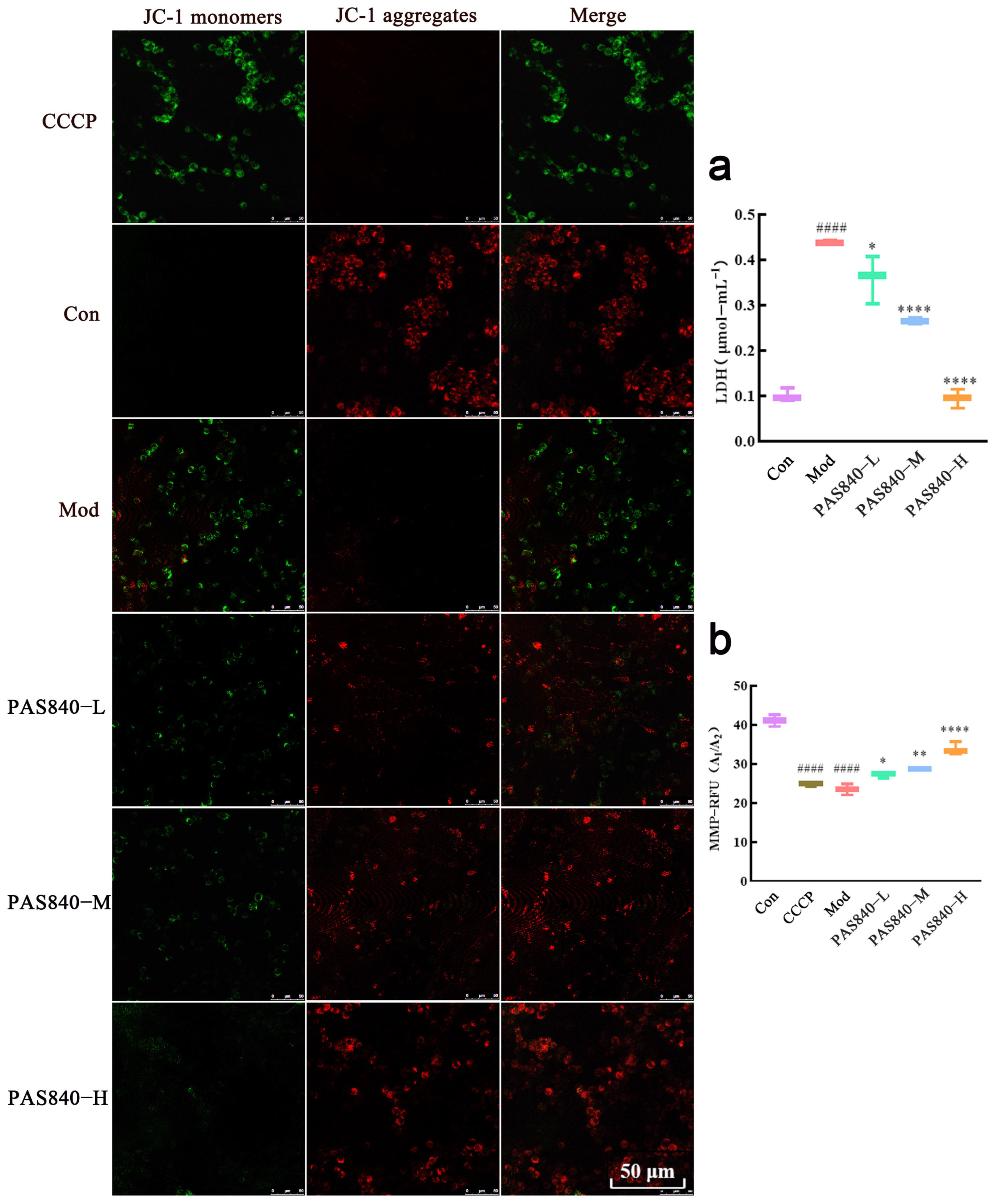 Biology 14 00193 g011