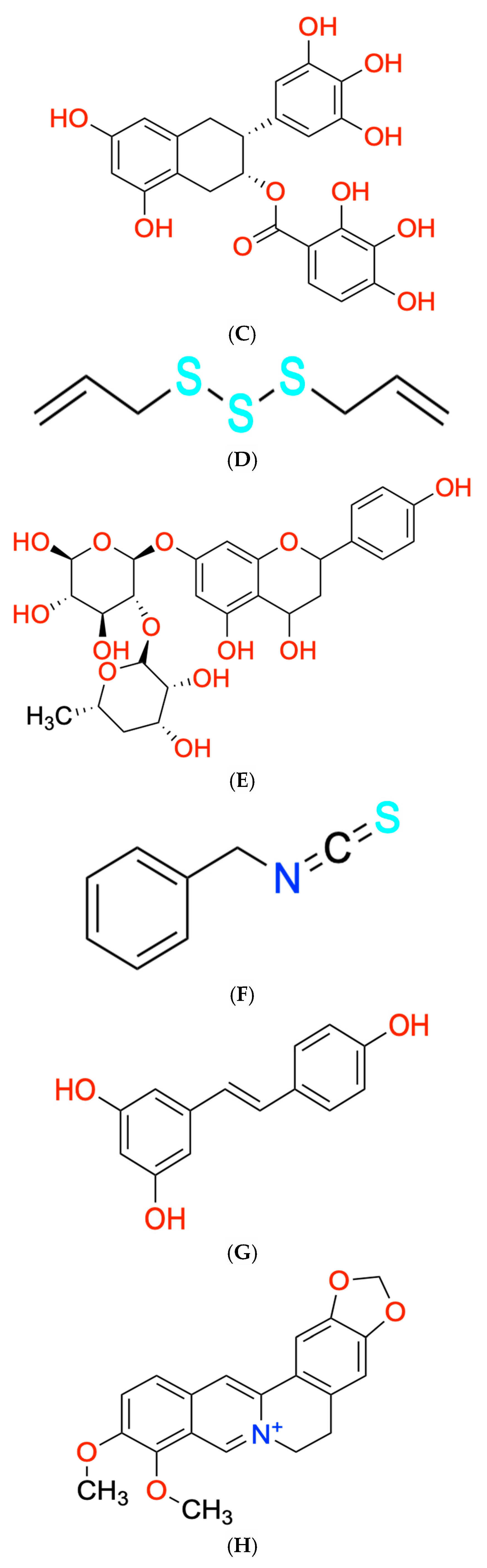 Biology 14 00194 g002b Biology 14 00194 g002b