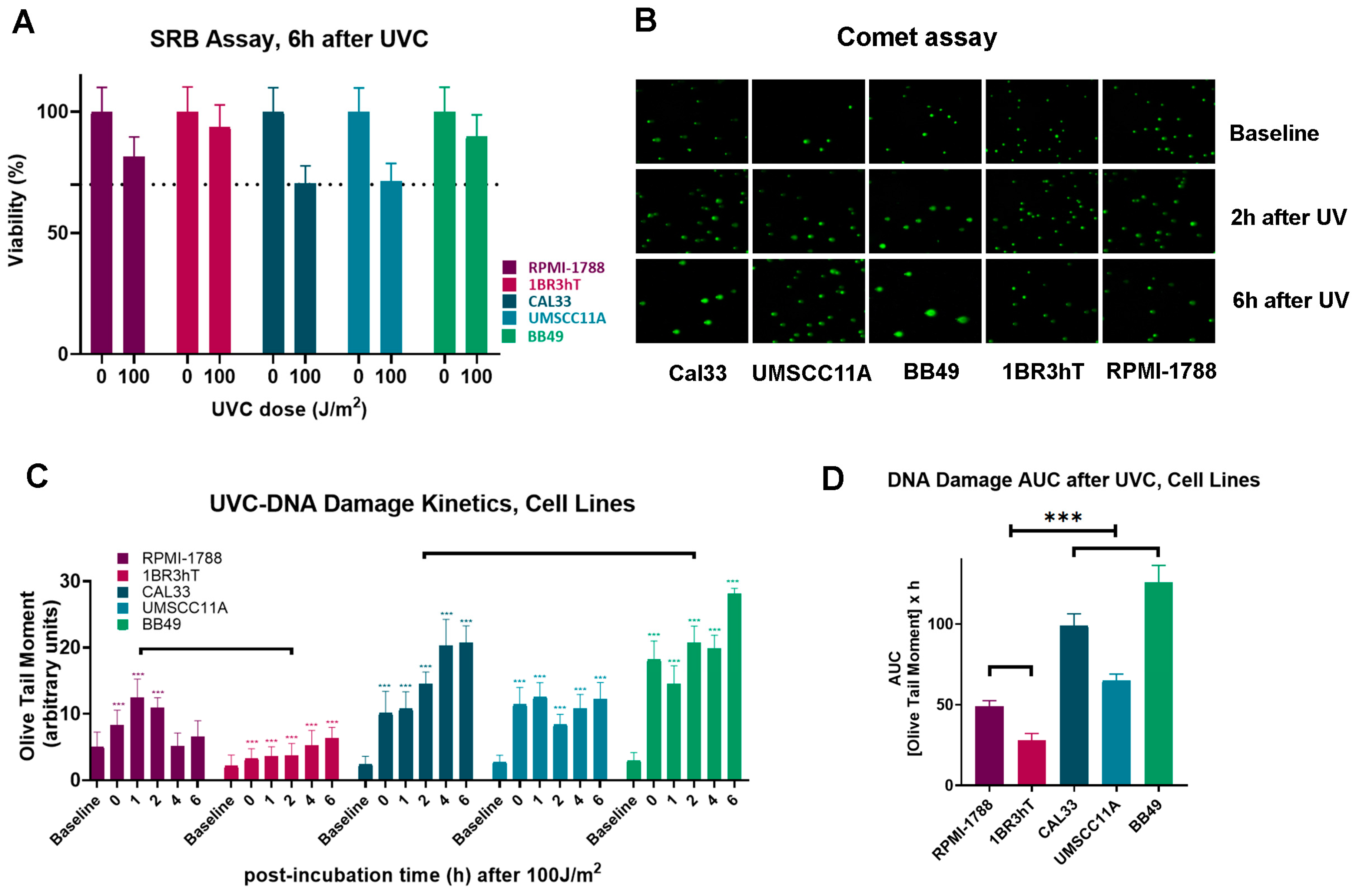 Biology 14 00195 g001