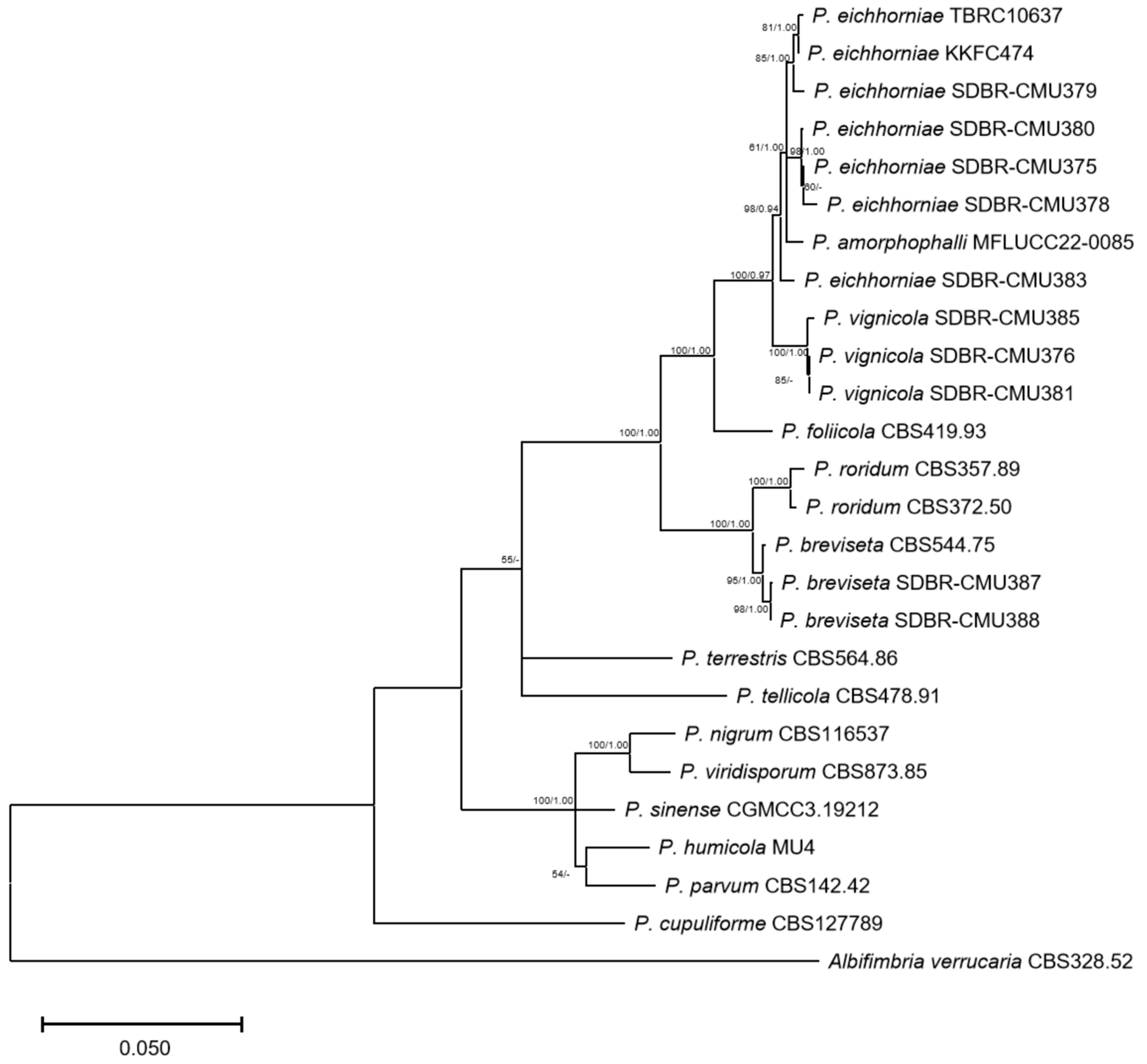Biology 14 00199 g005