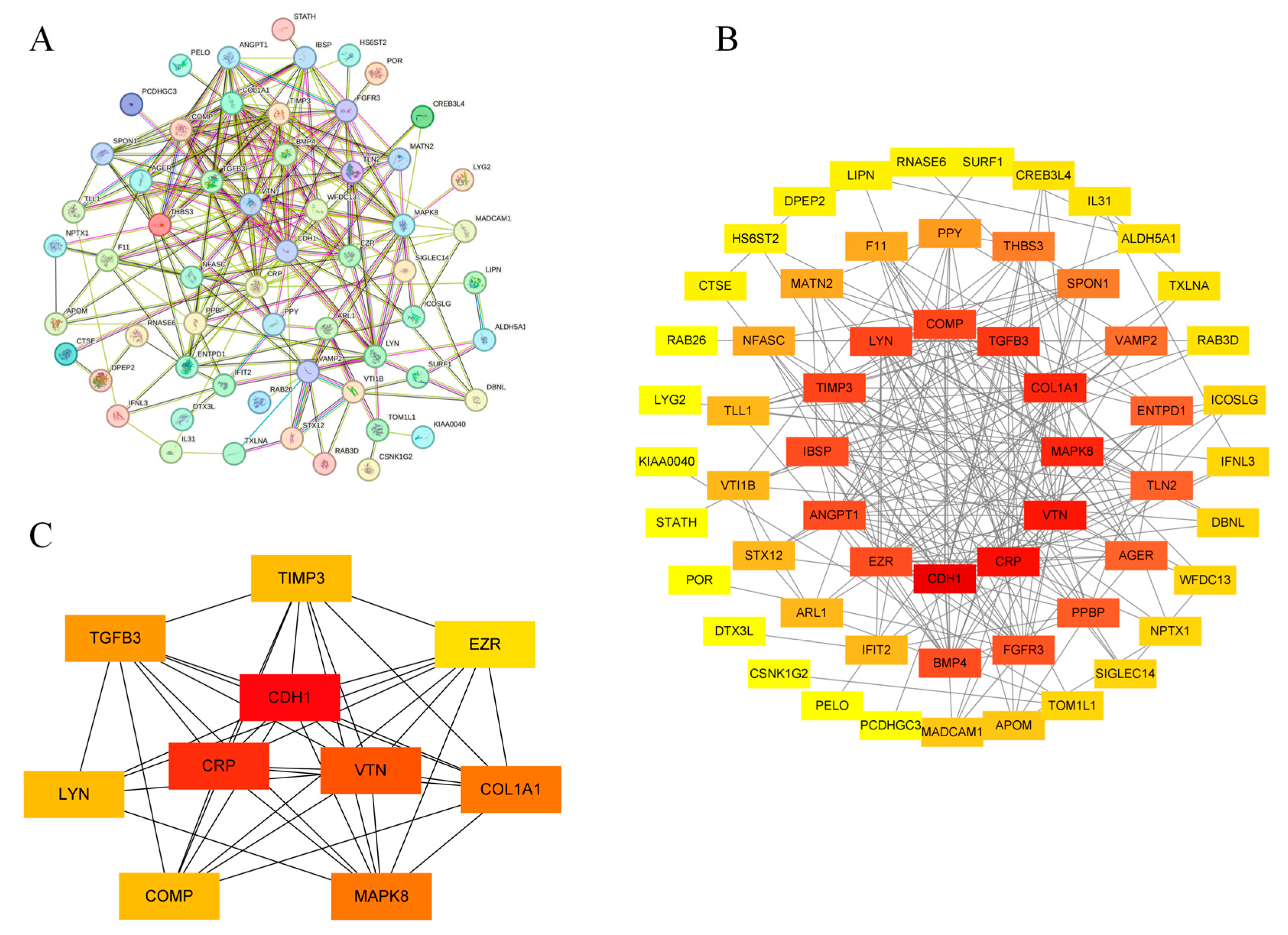 Biology 14 00200 g005