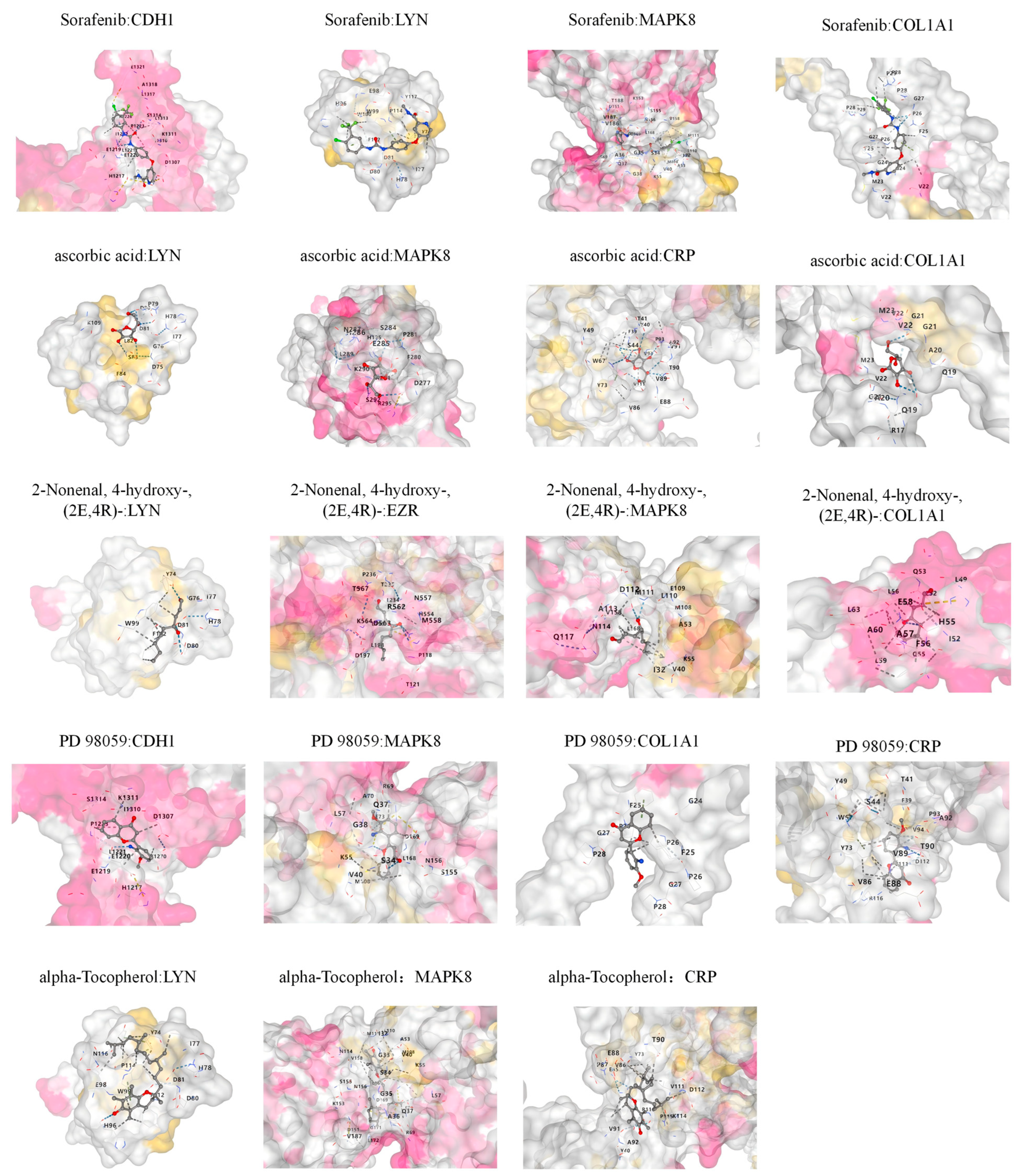 Biology 14 00200 g008