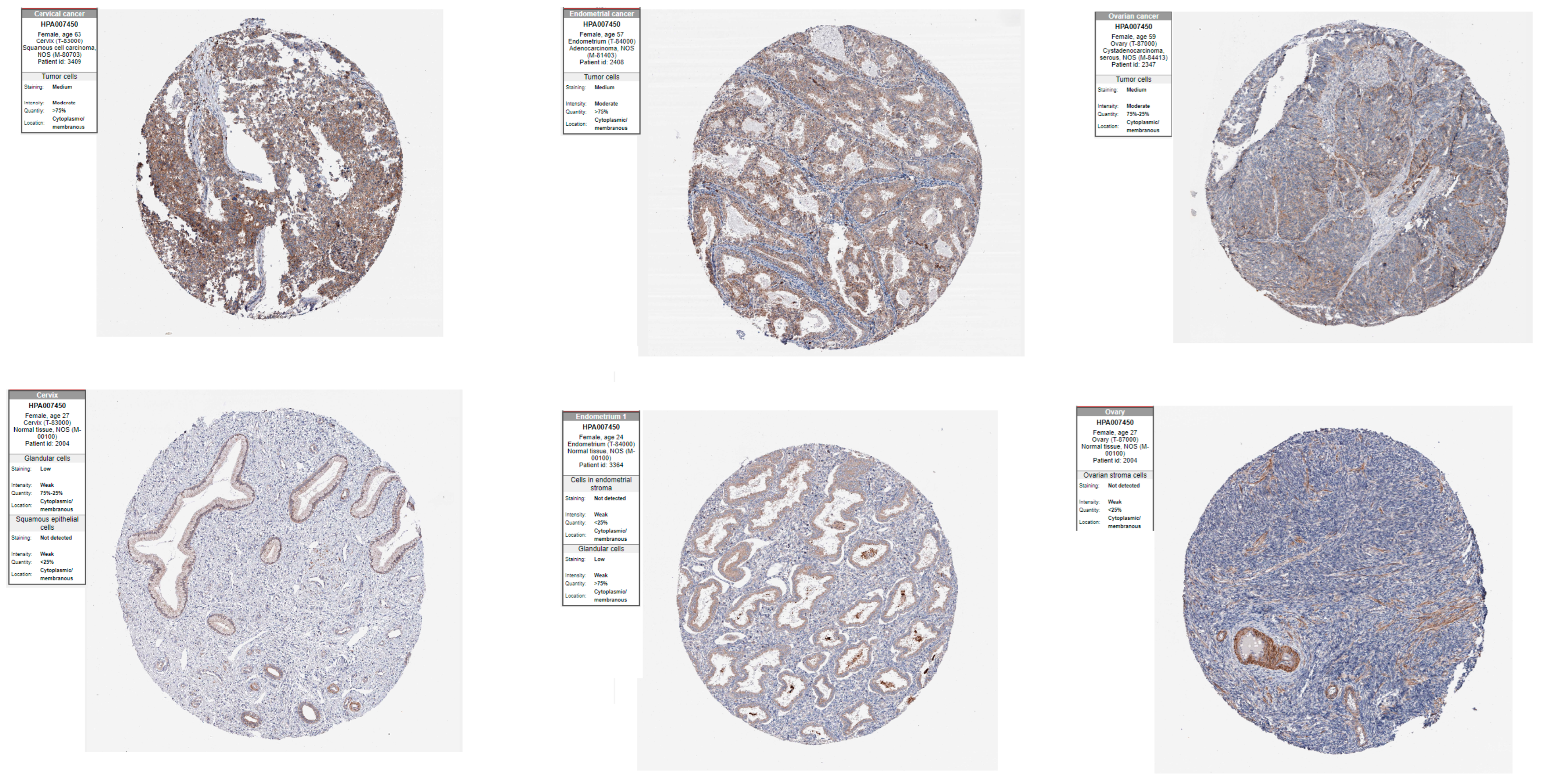 Biology 14 00209 g010