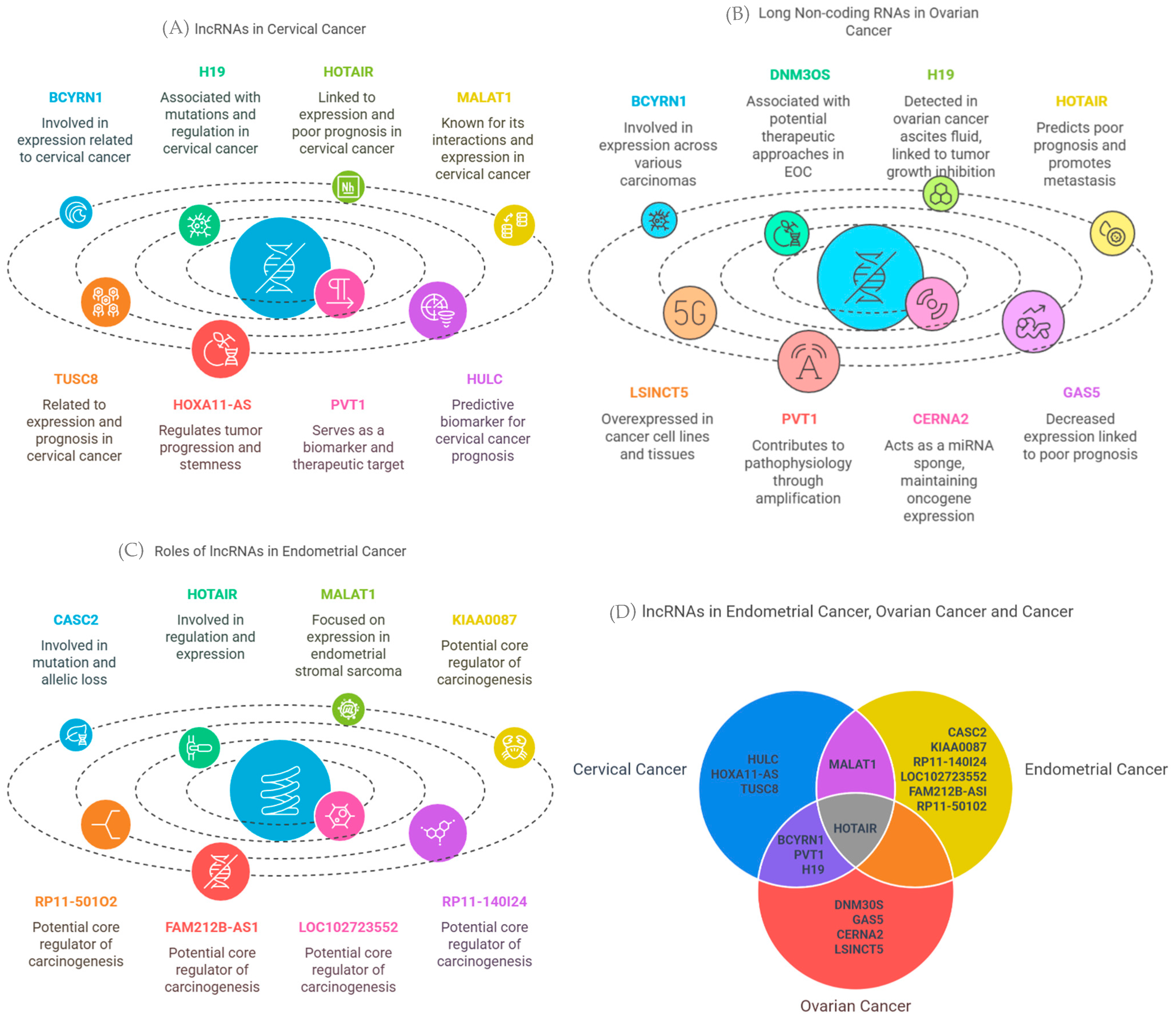 Biology 14 00209 g014