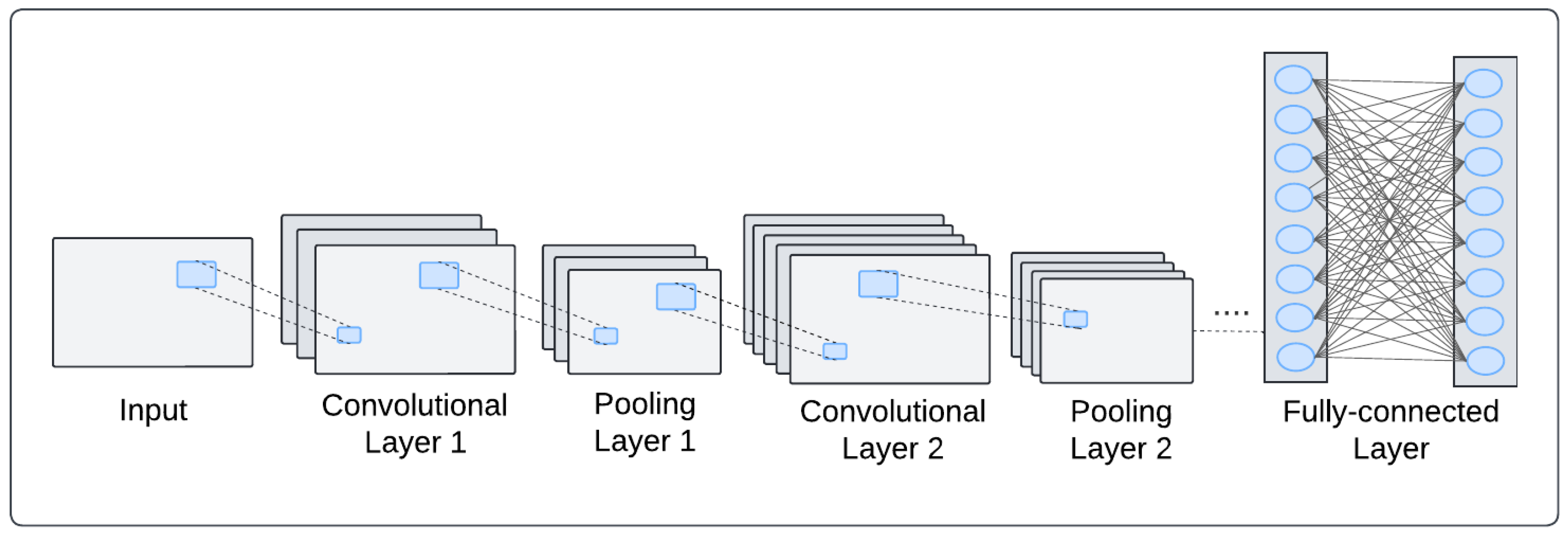 Biology 14 00210 g002