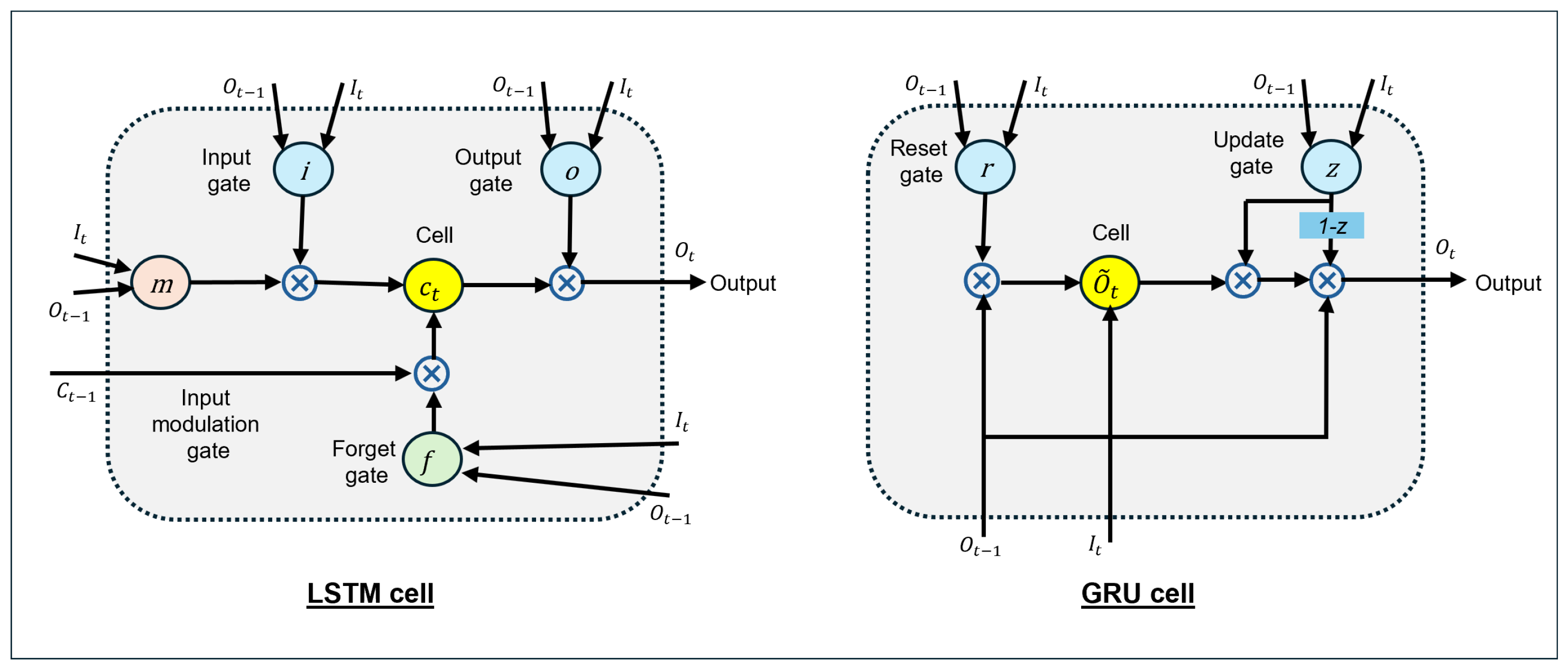 Biology 14 00210 g003