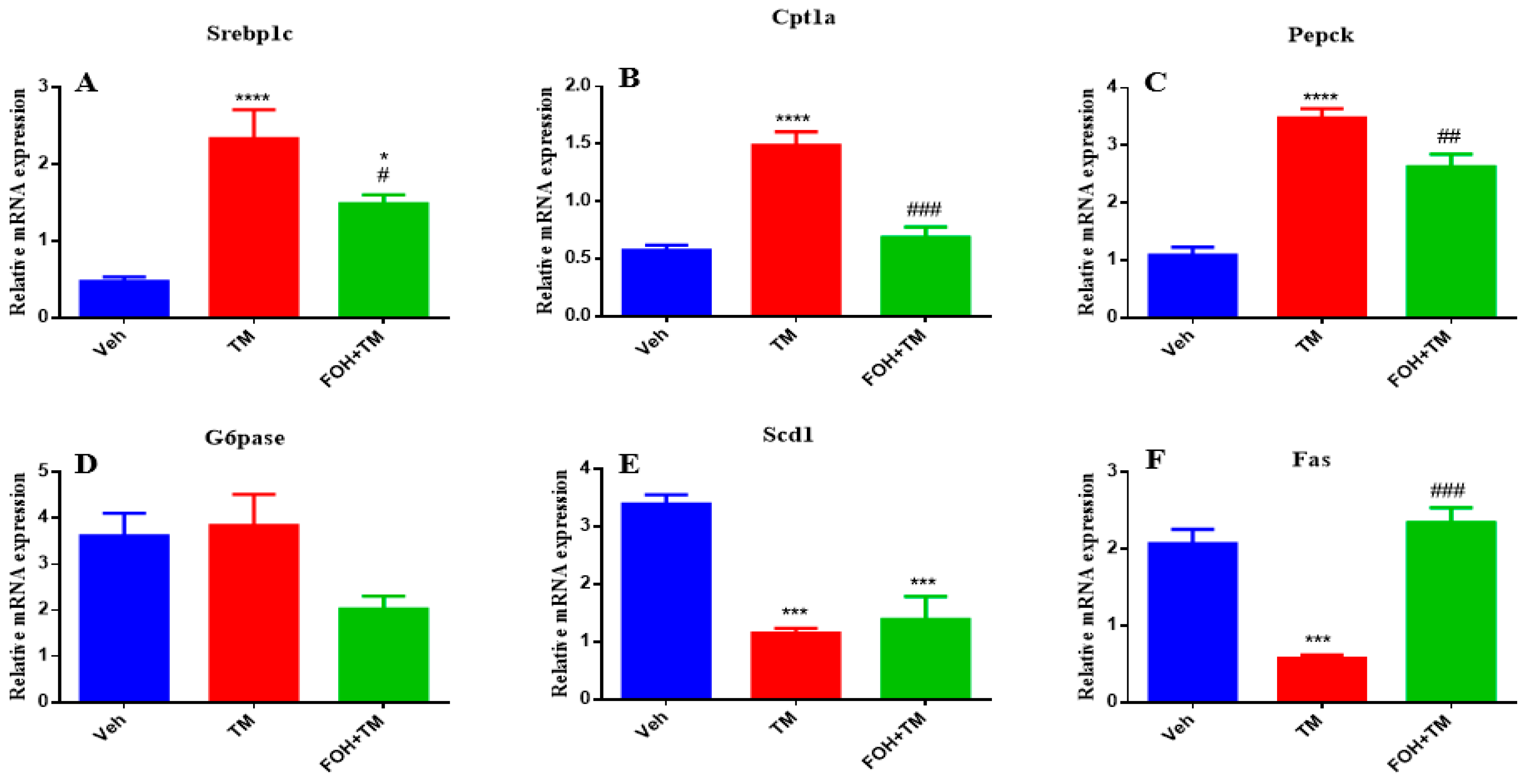 Biology 14 00213 g004