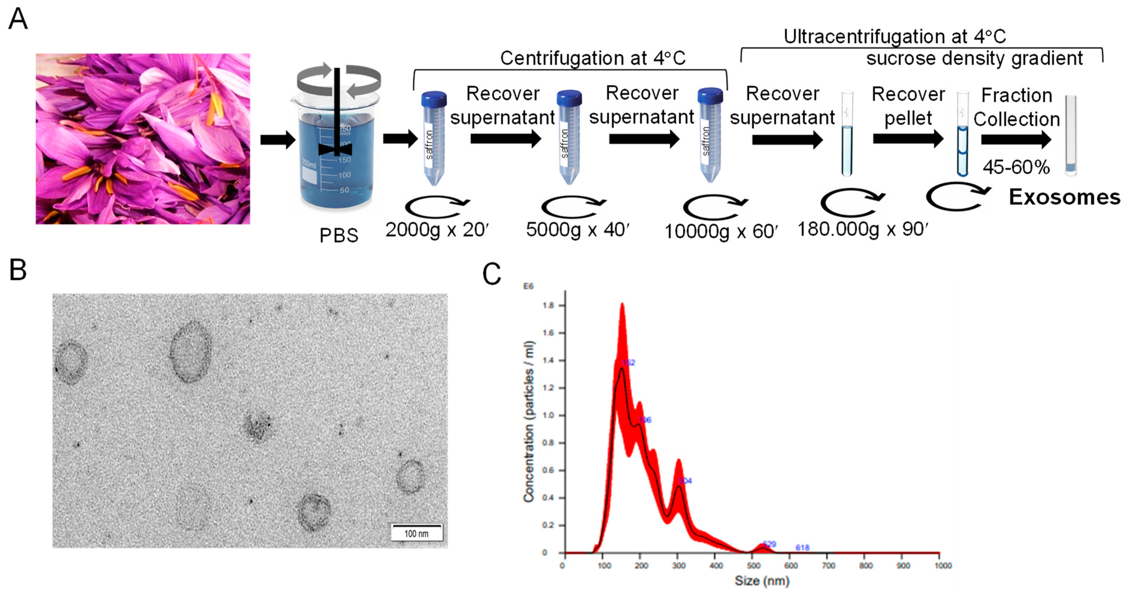 Biology 14 00215 g001