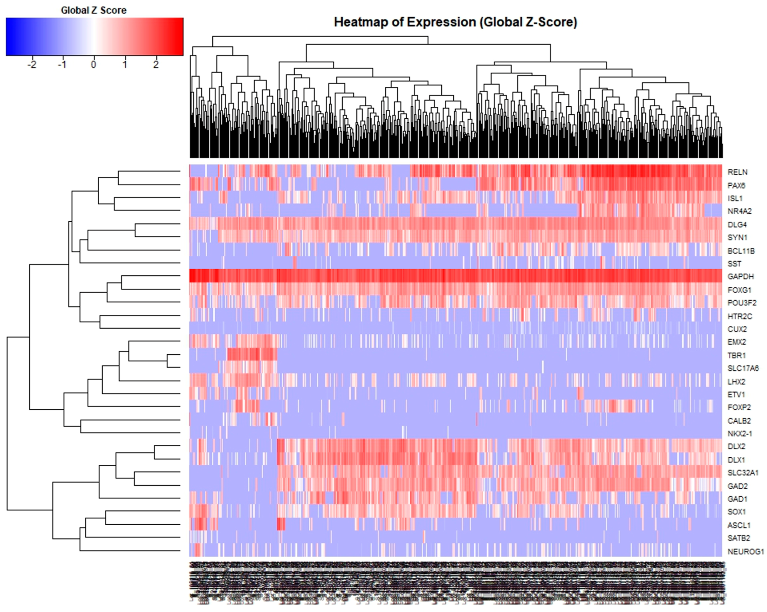 Biology 14 00217 g001
