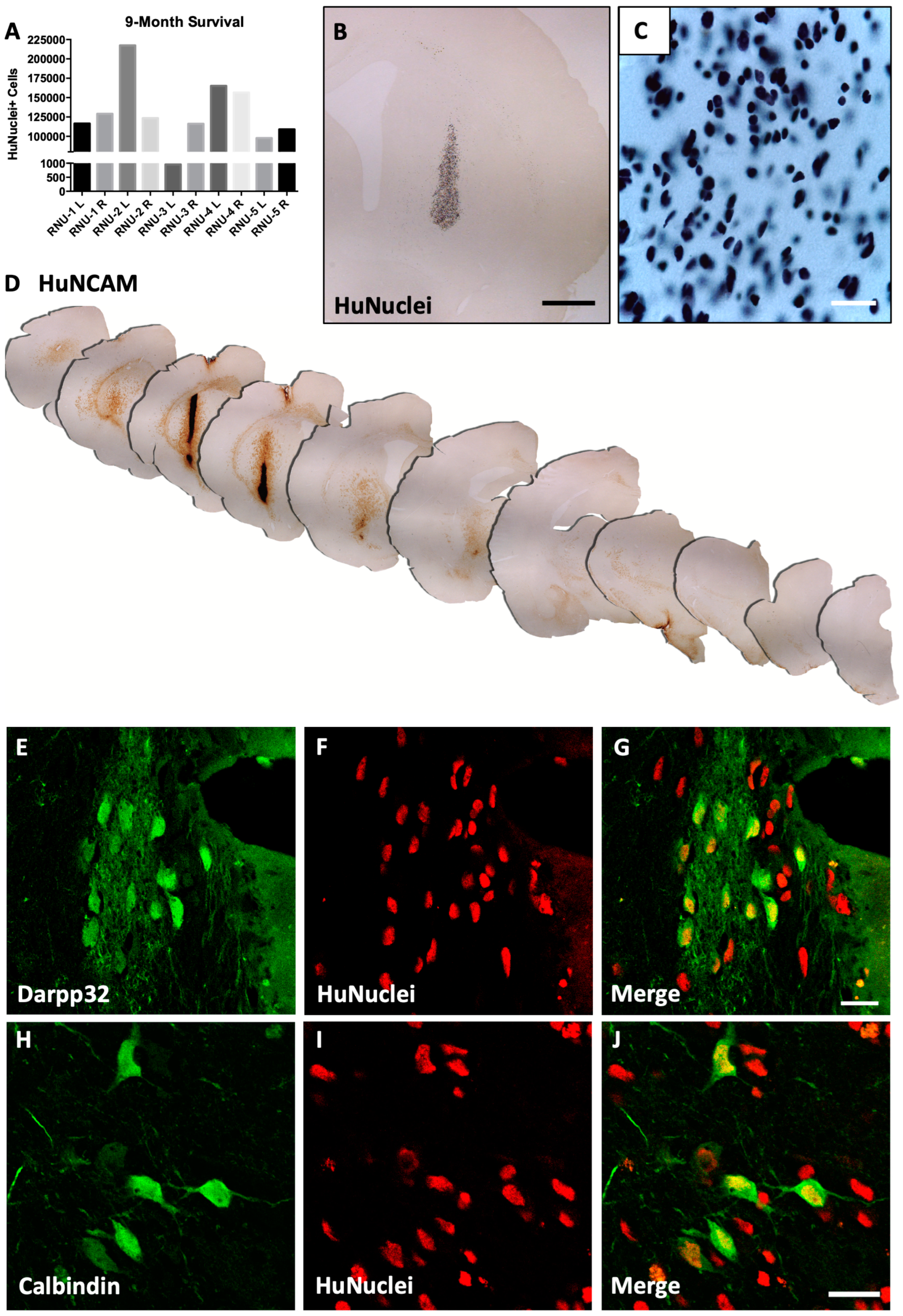 Biology 14 00217 g003