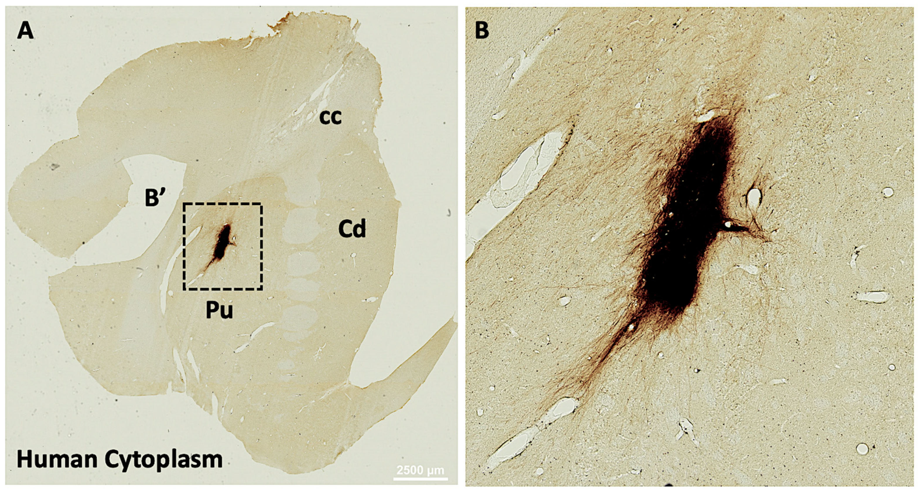 Biology 14 00217 g004