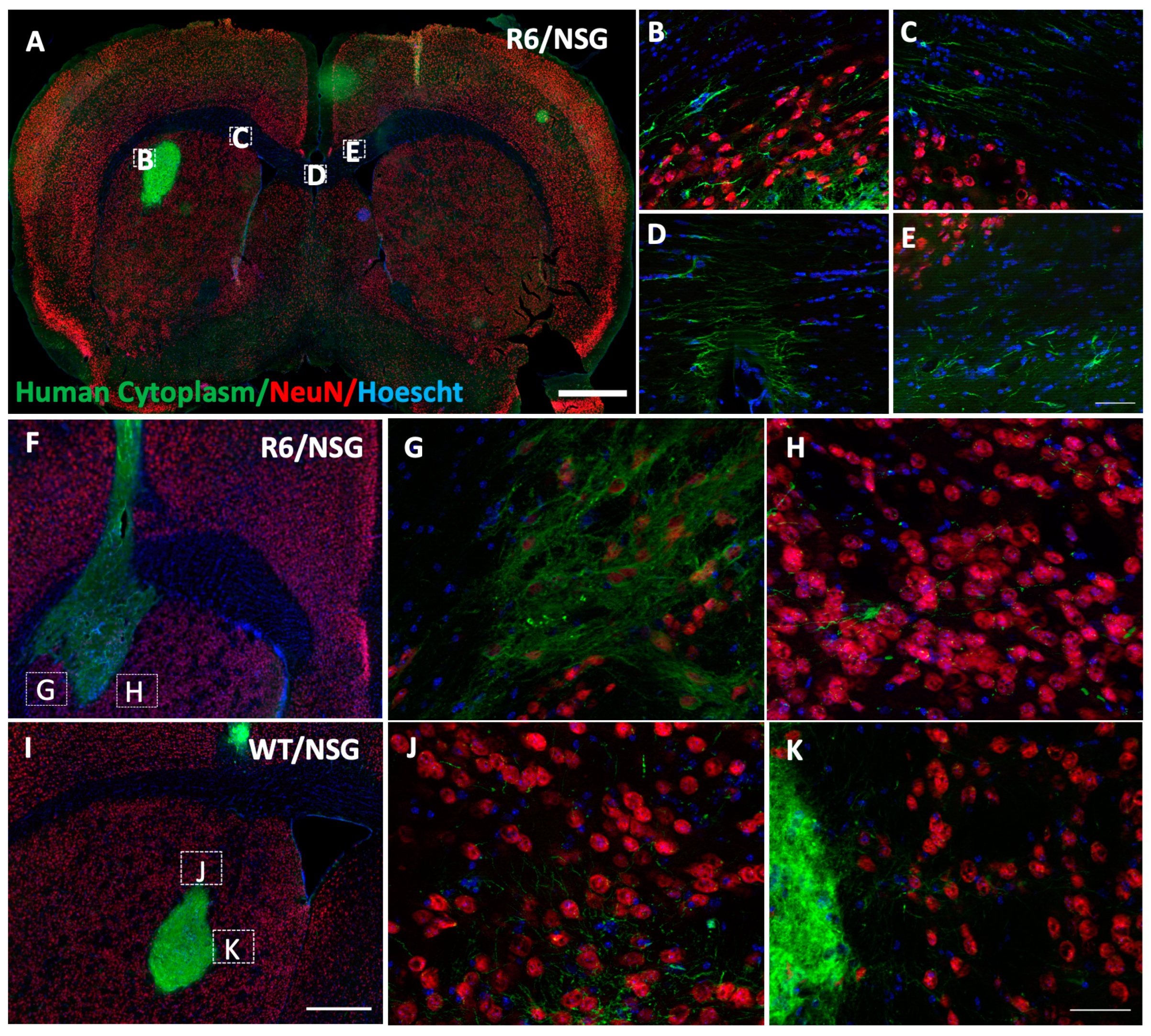 Biology 14 00217 g005
