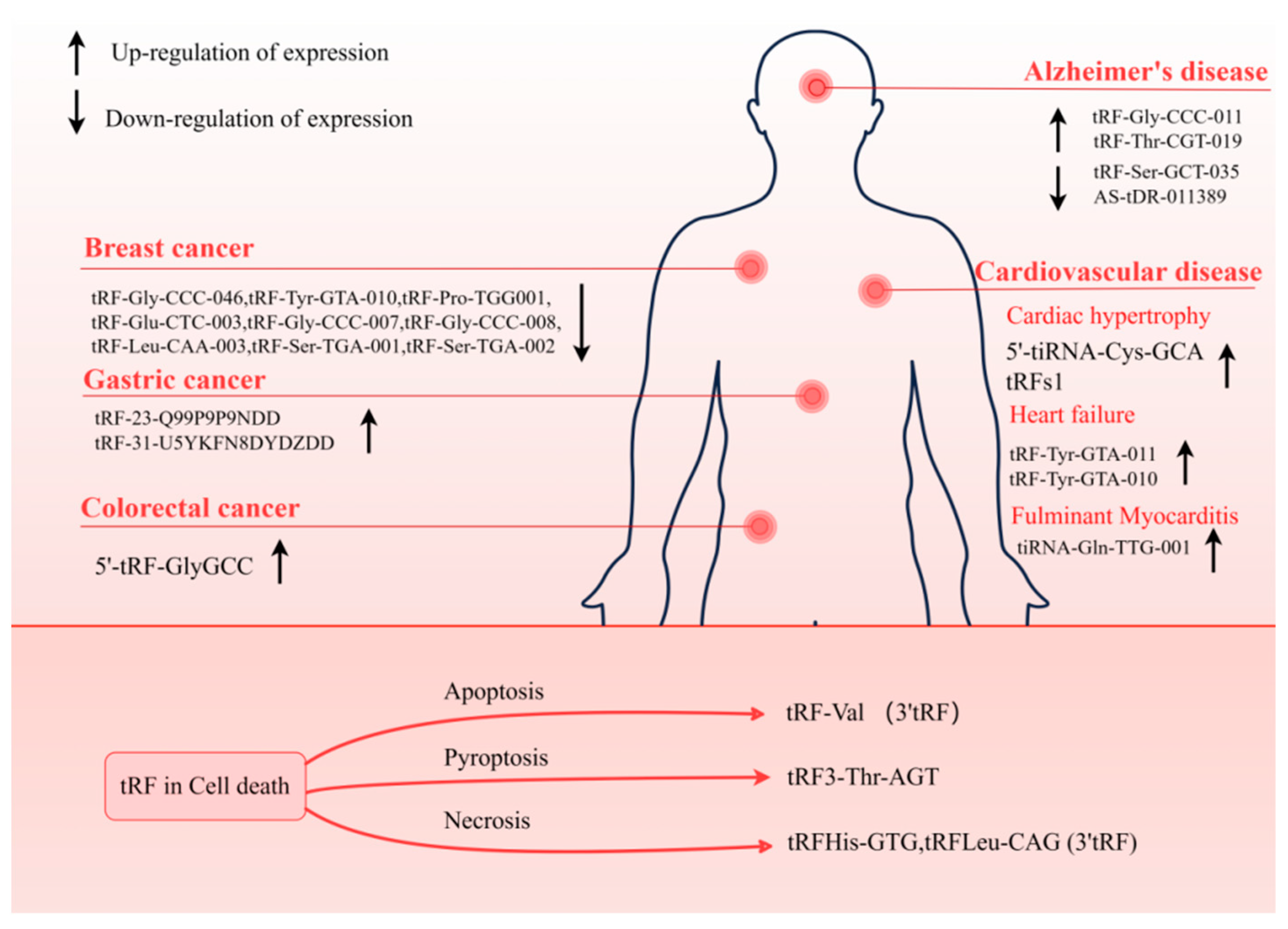 Biology 14 00218 g005