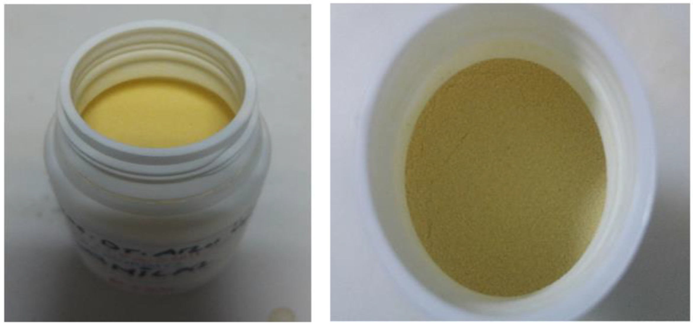 Biology 14 00219 g001