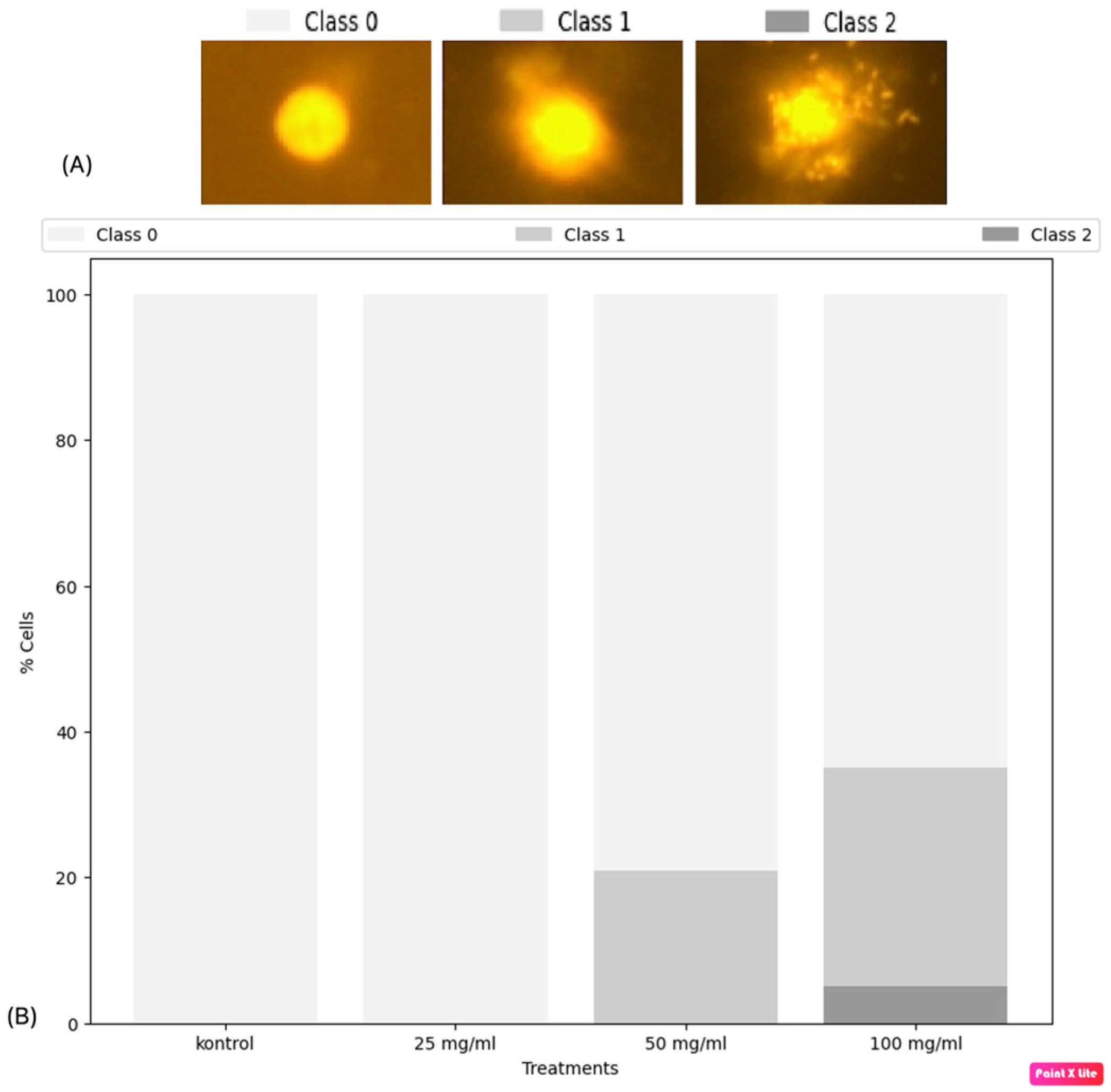 Biology 14 00219 g002
