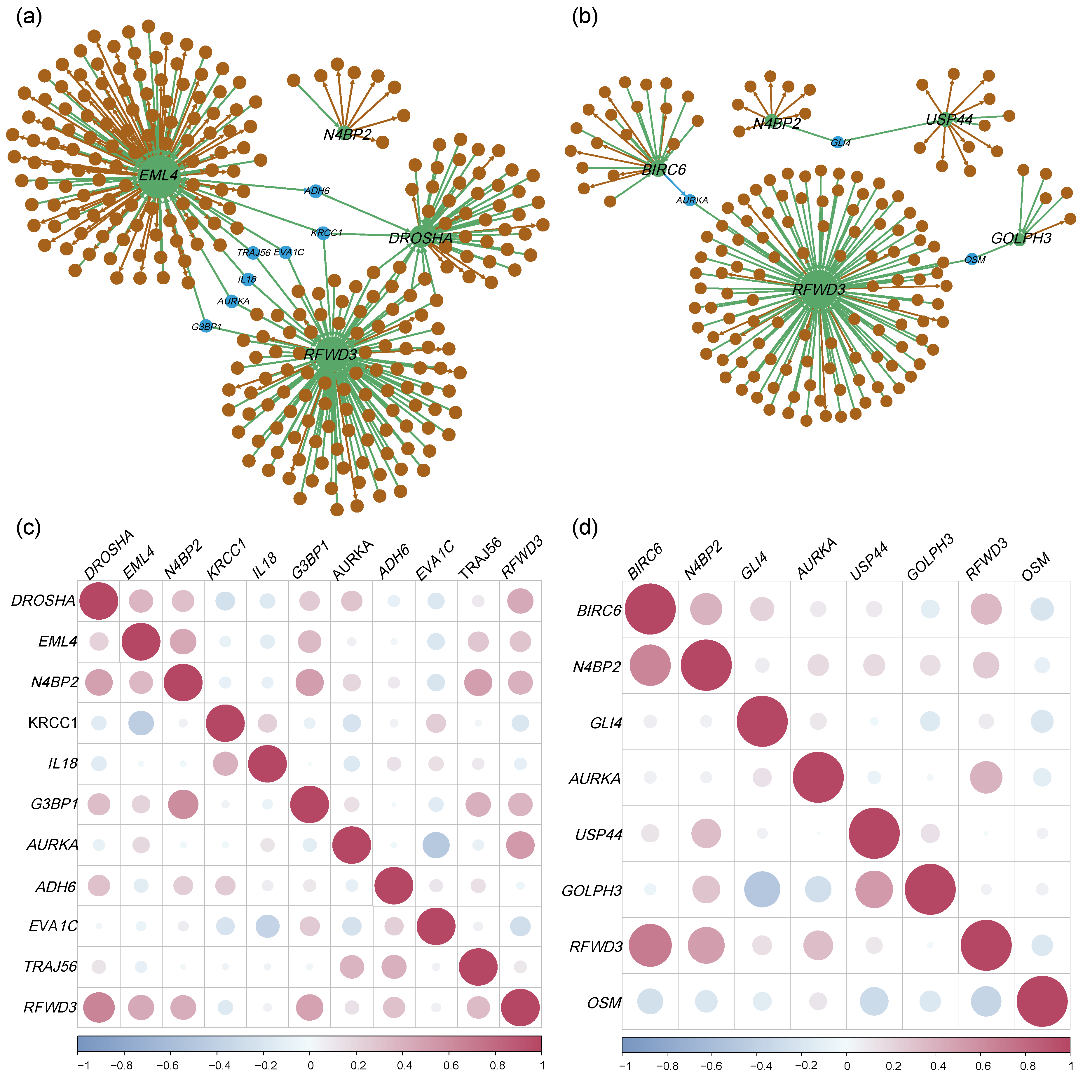 Biology 14 00223 g003