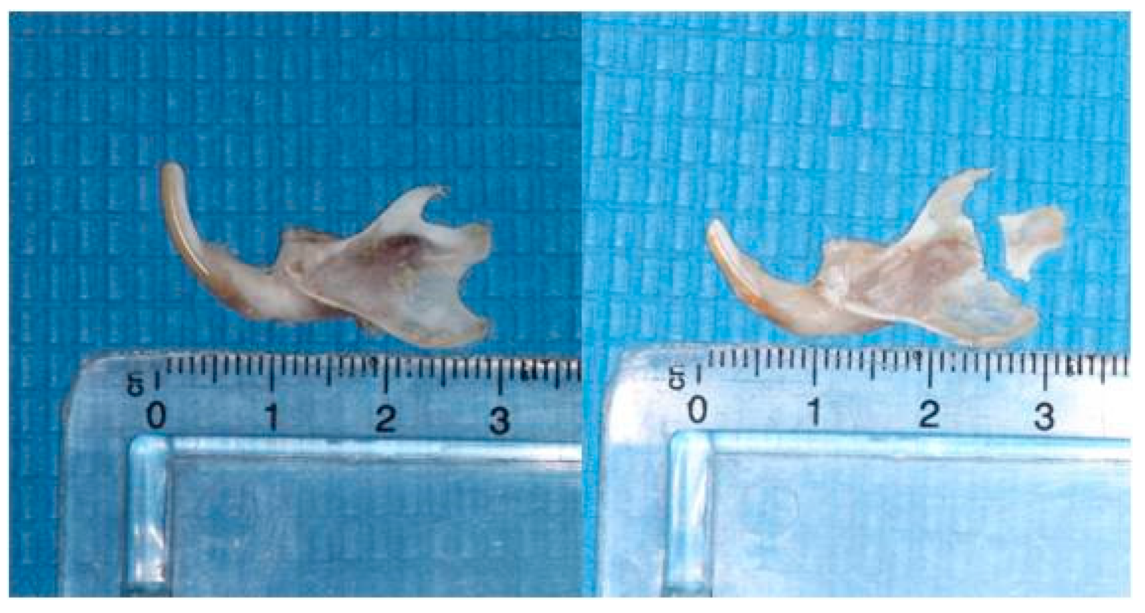 Biology 14 00228 g002