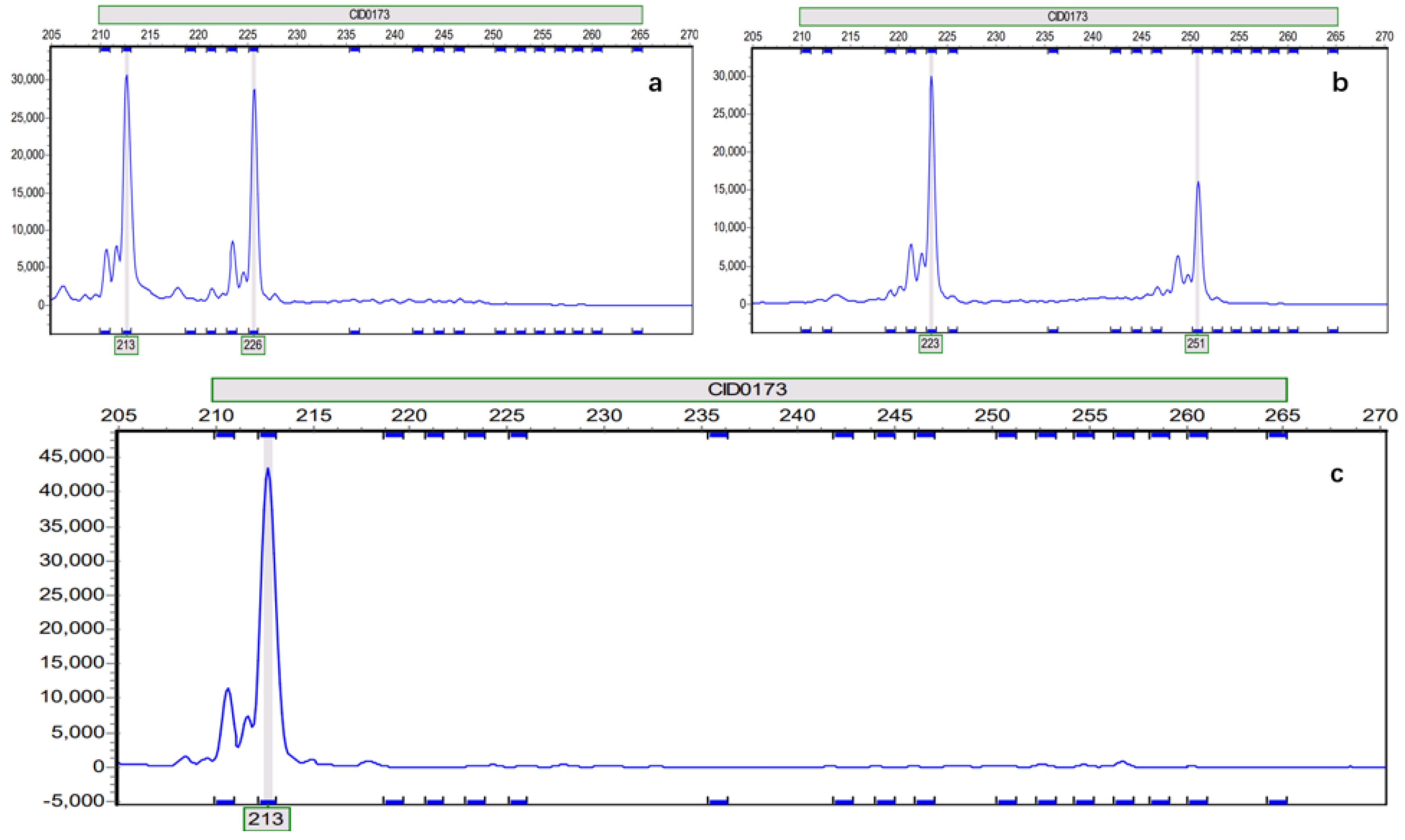 Biology 14 00230 g001