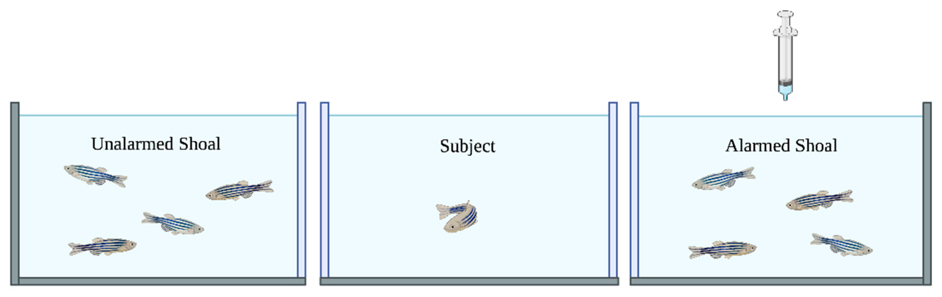 Biology 14 00233 g001