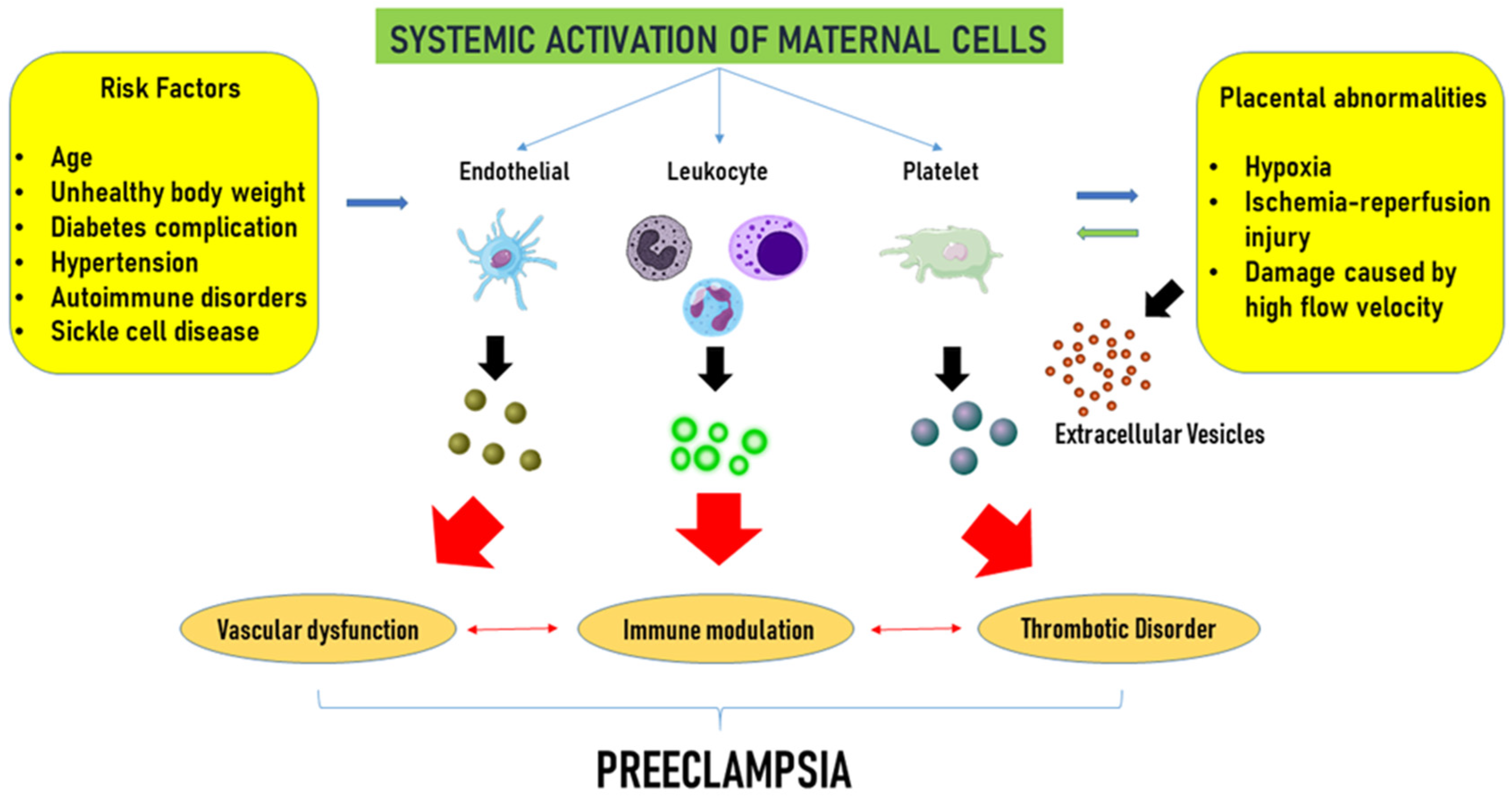 Biology 14 00240 g002