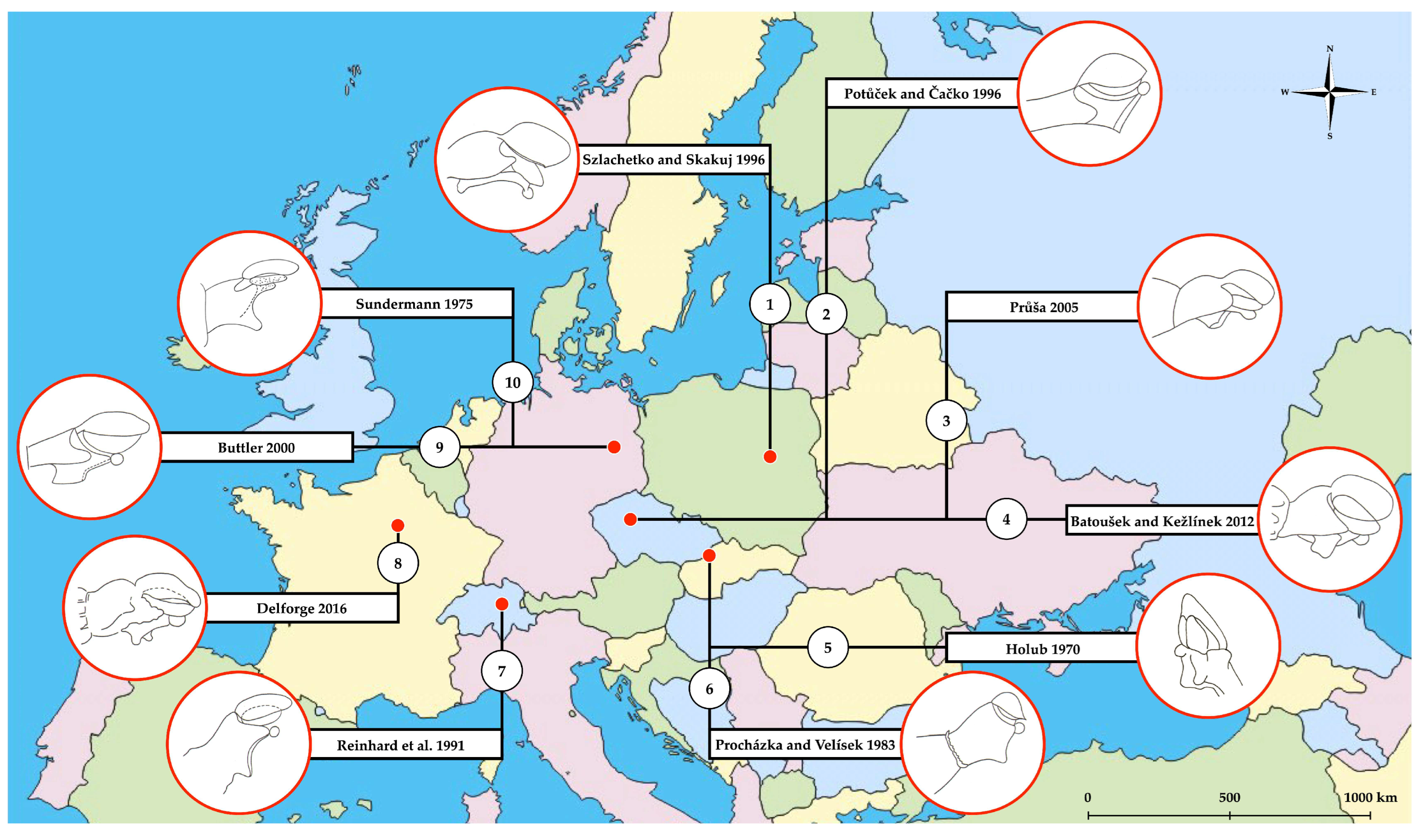 Biology 14 00241 g001 Biology 14 00241 g001
