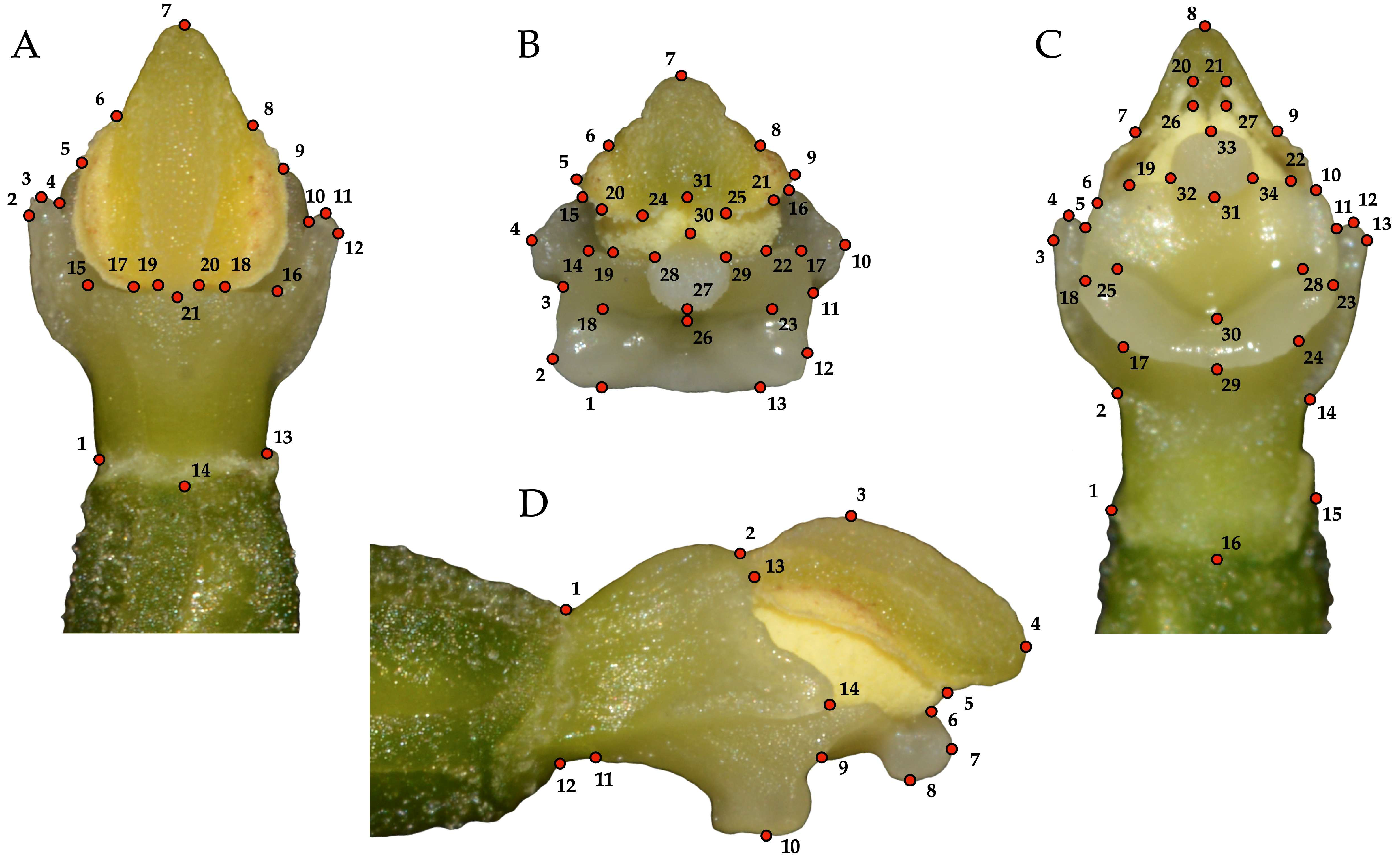 Biology 14 00241 g003 Biology 14 00241 g003