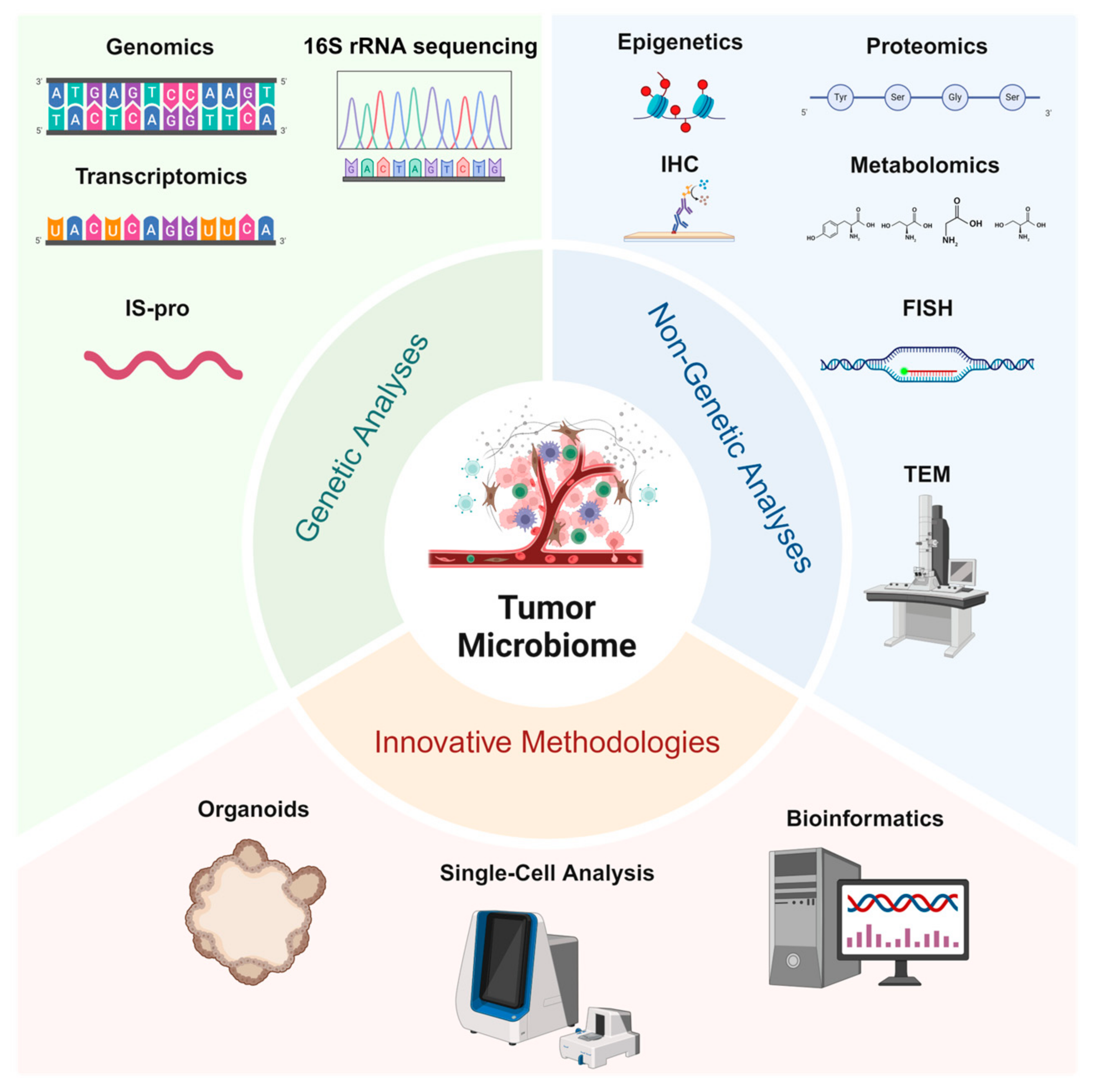 Biology 14 00243 g001 Biology 14 00243 g001