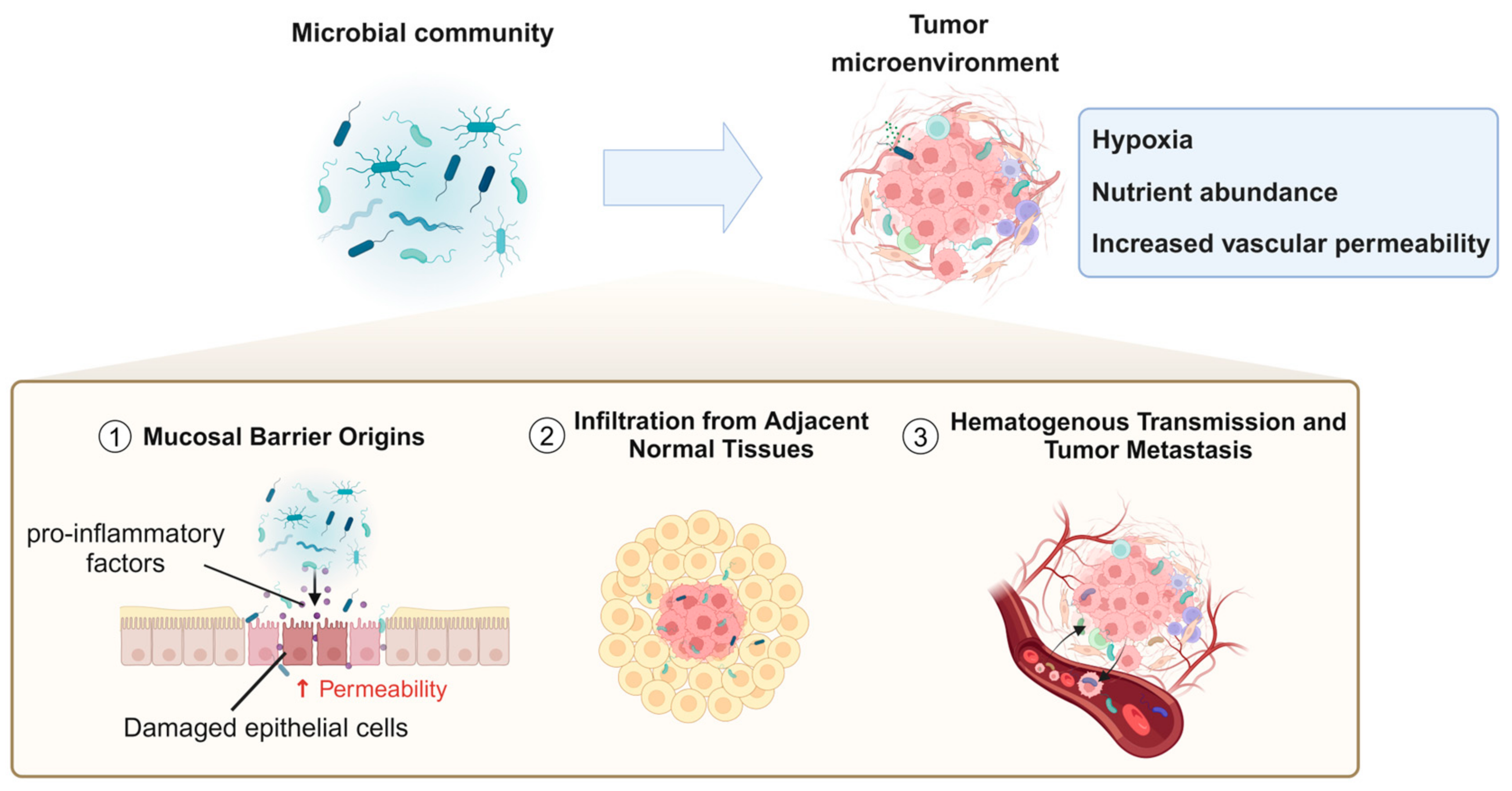 Biology 14 00243 g002 Biology 14 00243 g002