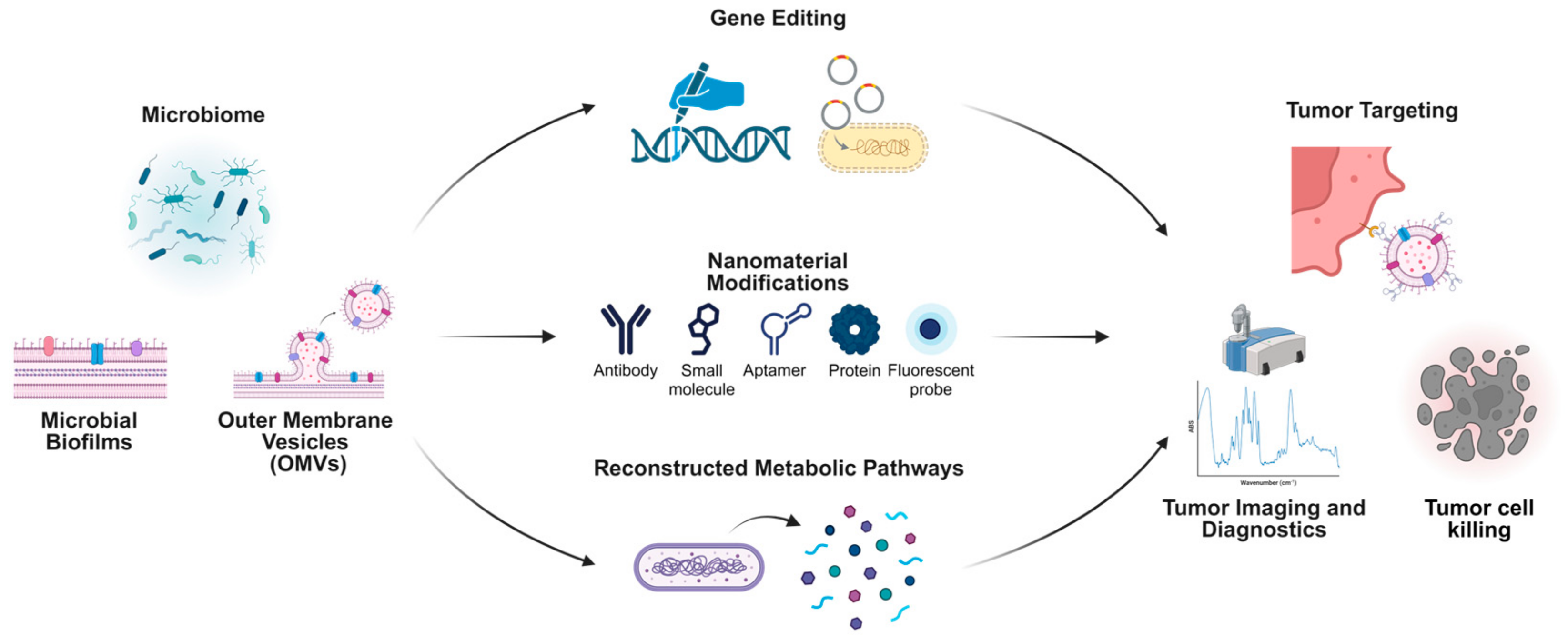 Biology 14 00243 g004 Biology 14 00243 g004