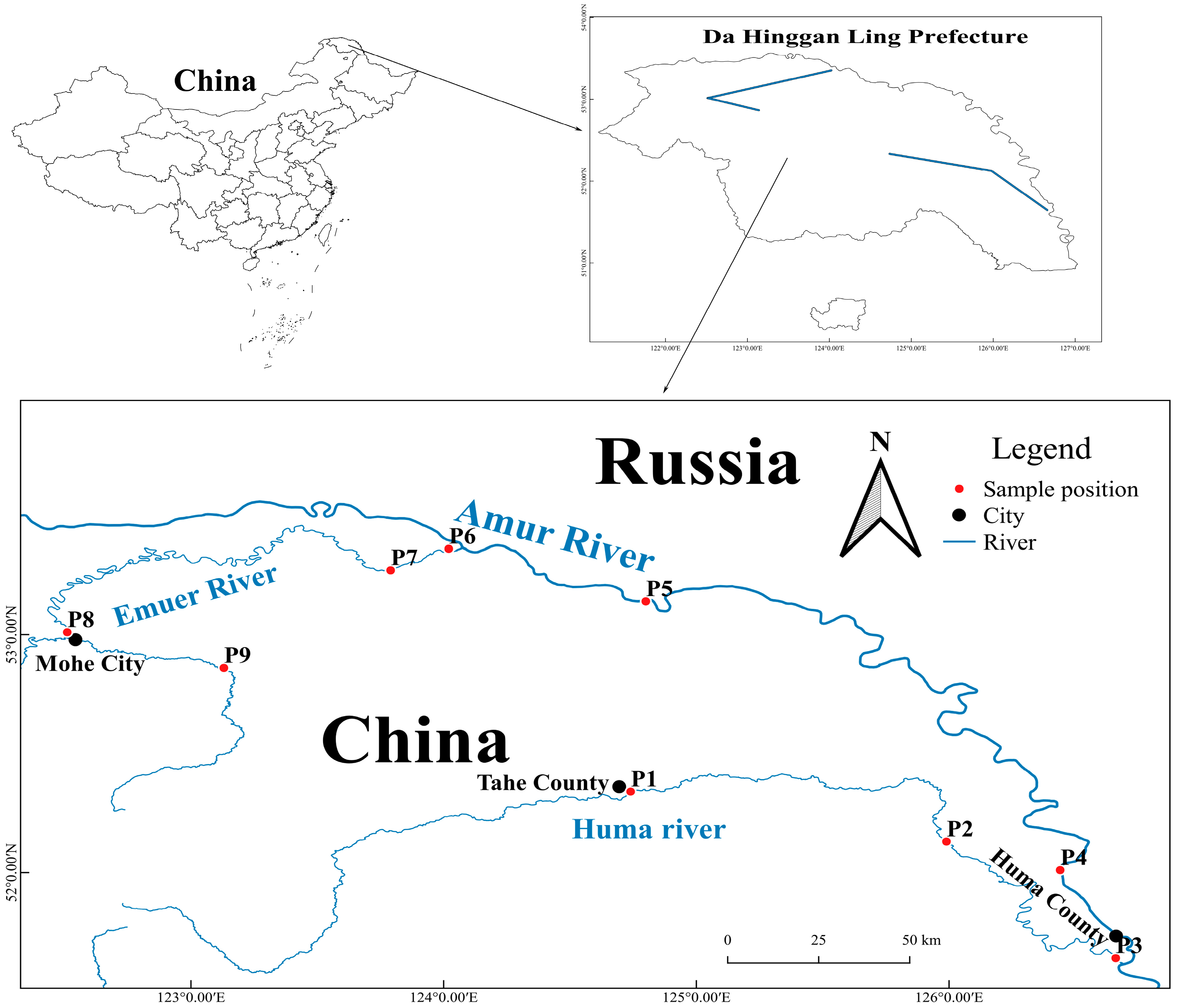 Biology 14 00248 g001