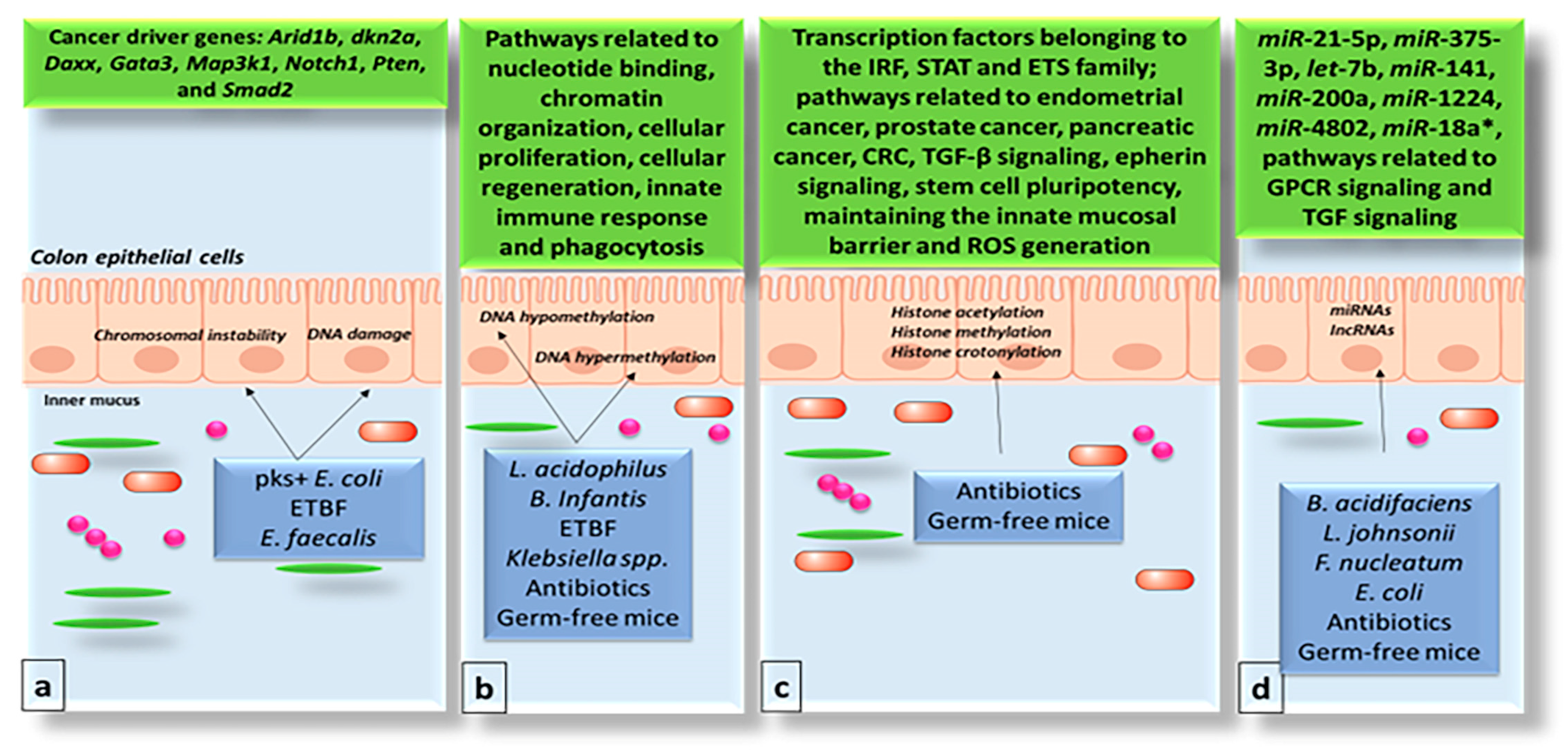 Biology 14 00251 g003