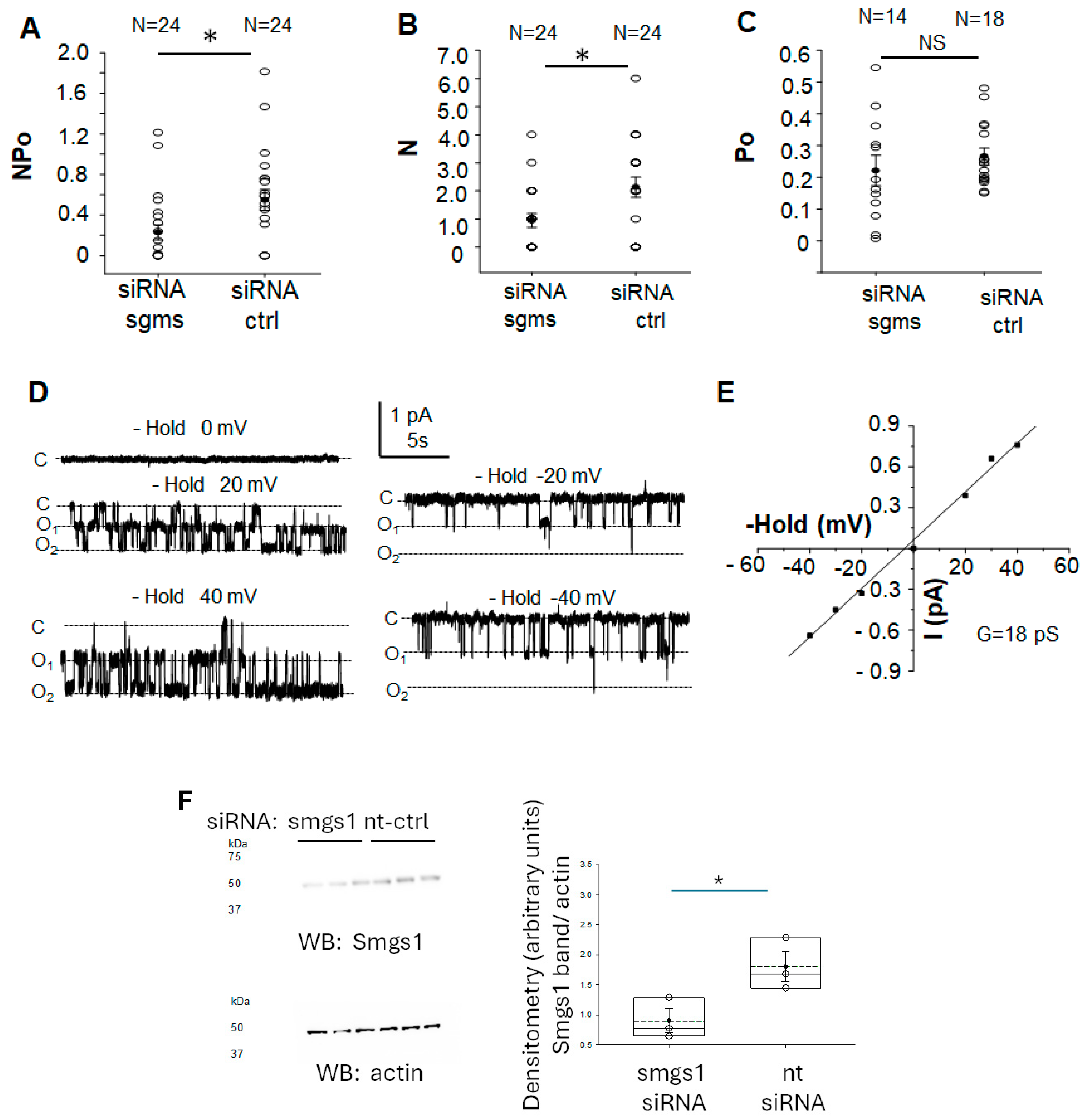Biology 14 00252 g004 Biology 14 00252 g004