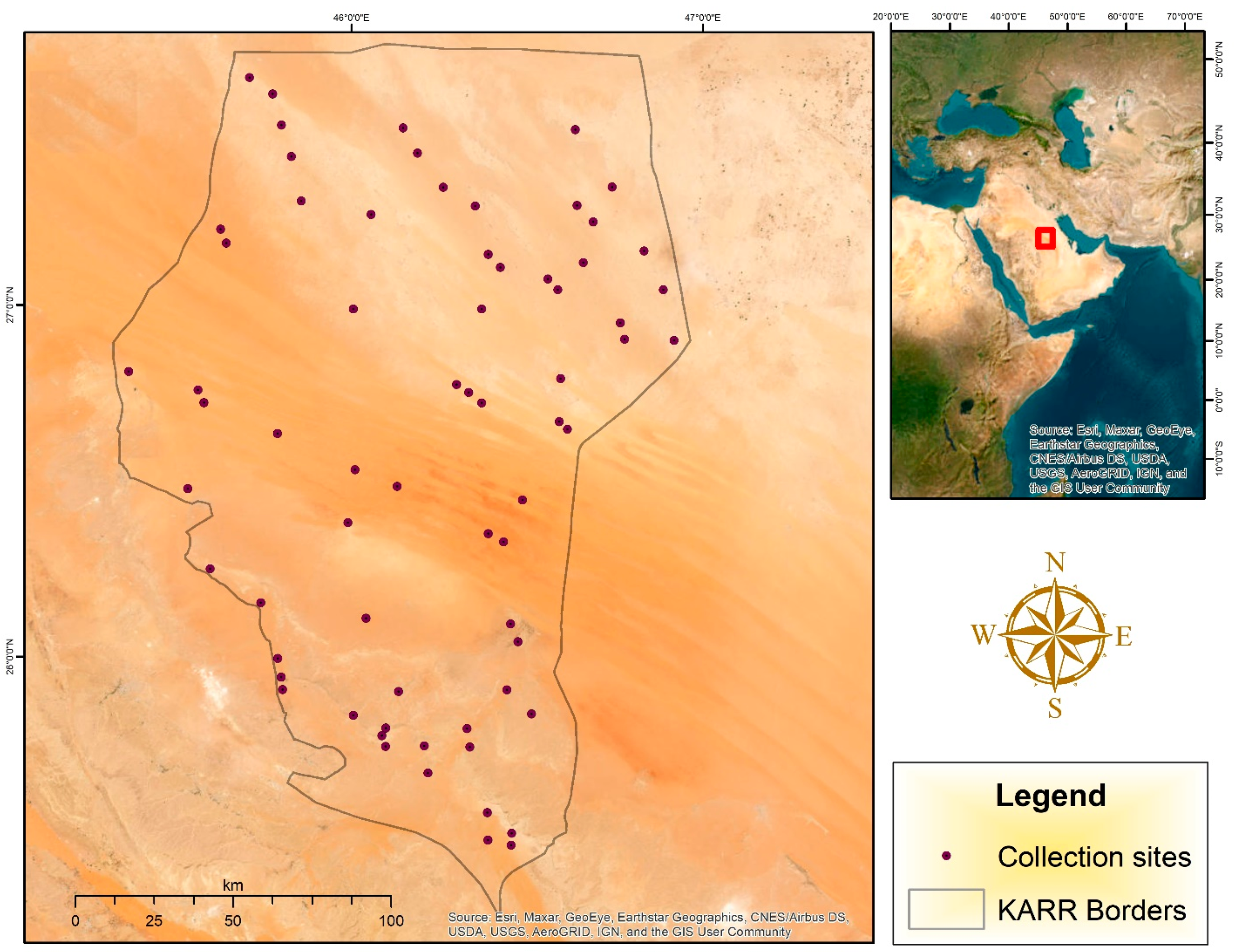 Biology 14 00254 g001