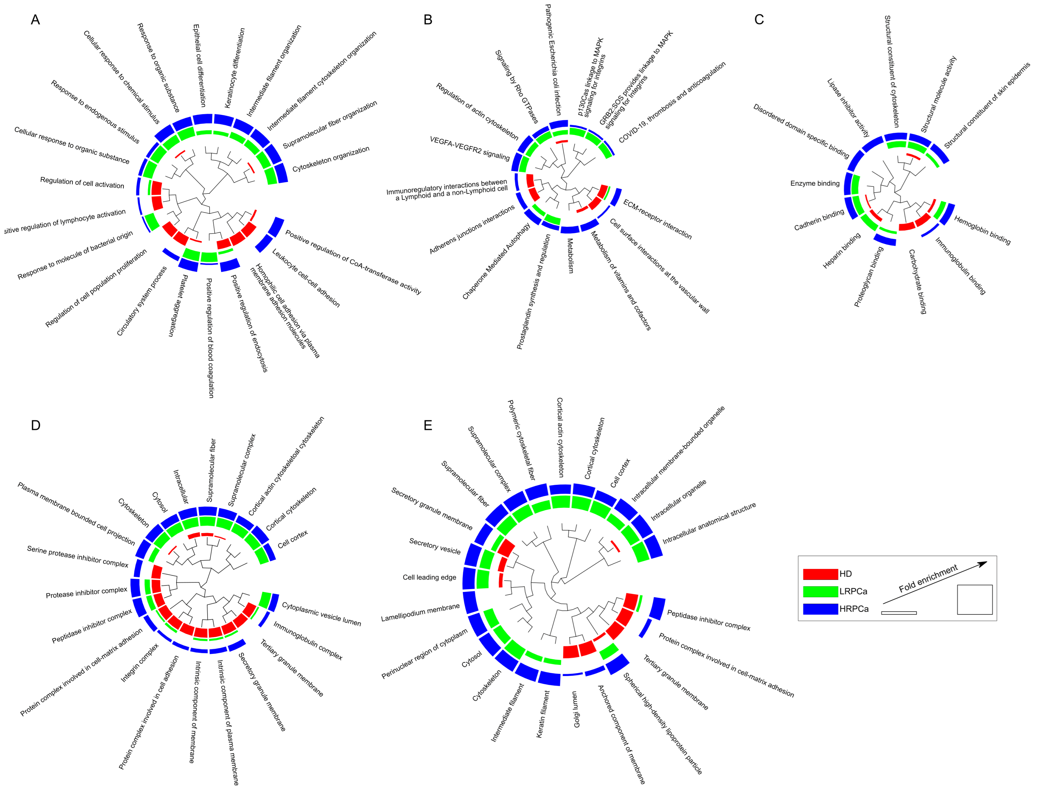 Biology 14 00256 g002