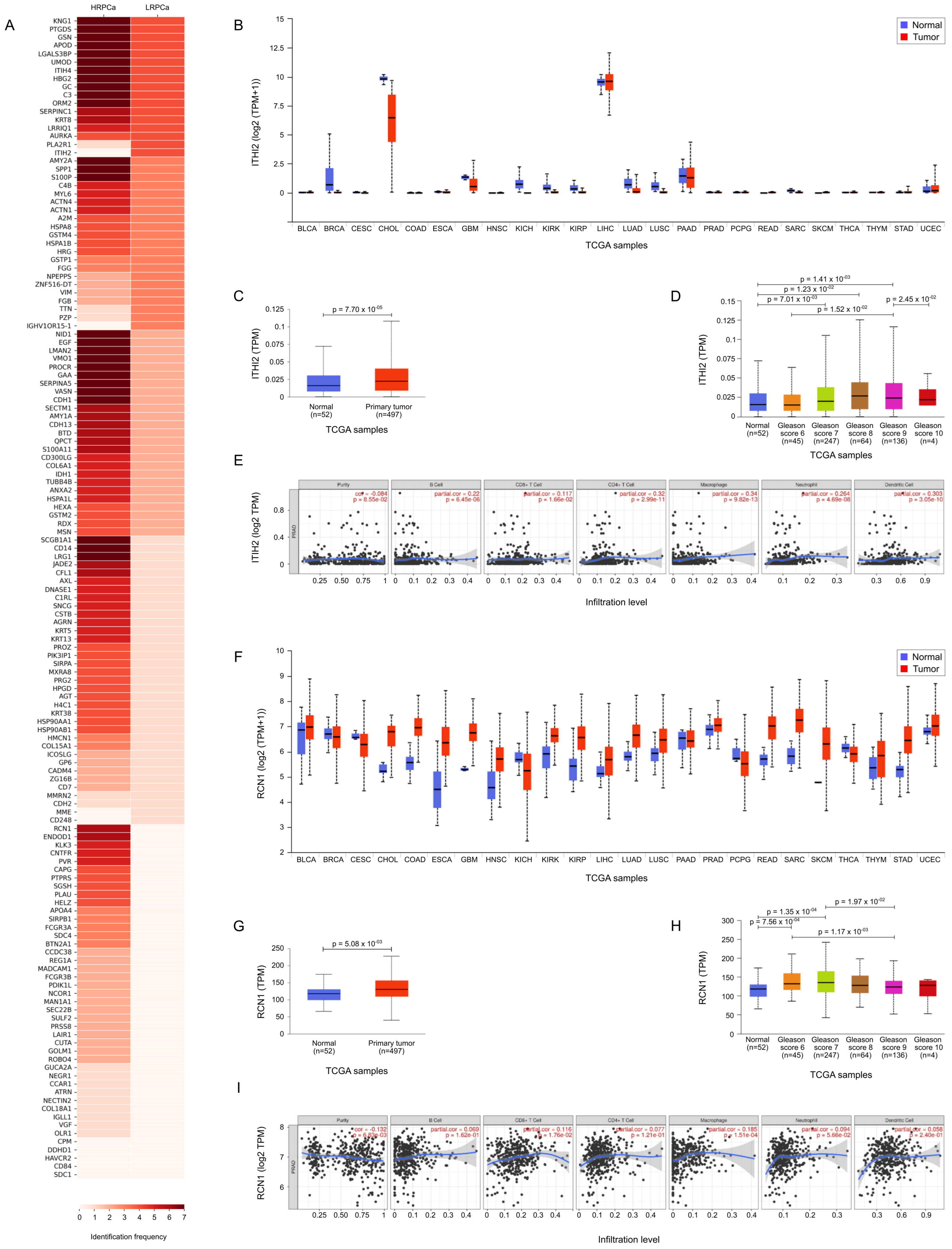 Biology 14 00256 g006