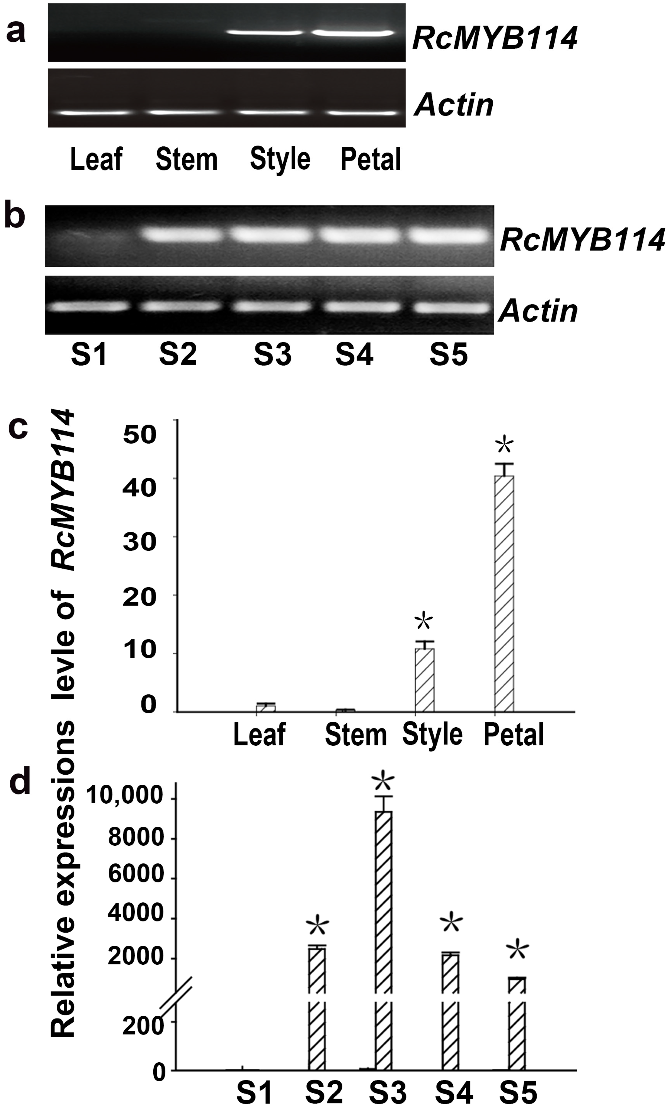 Biology 14 00258 g002