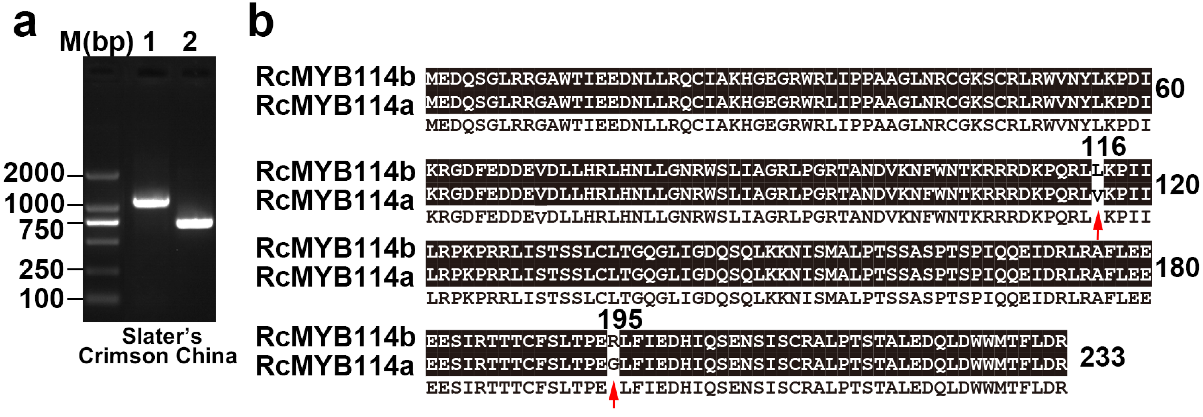 Biology 14 00258 g004