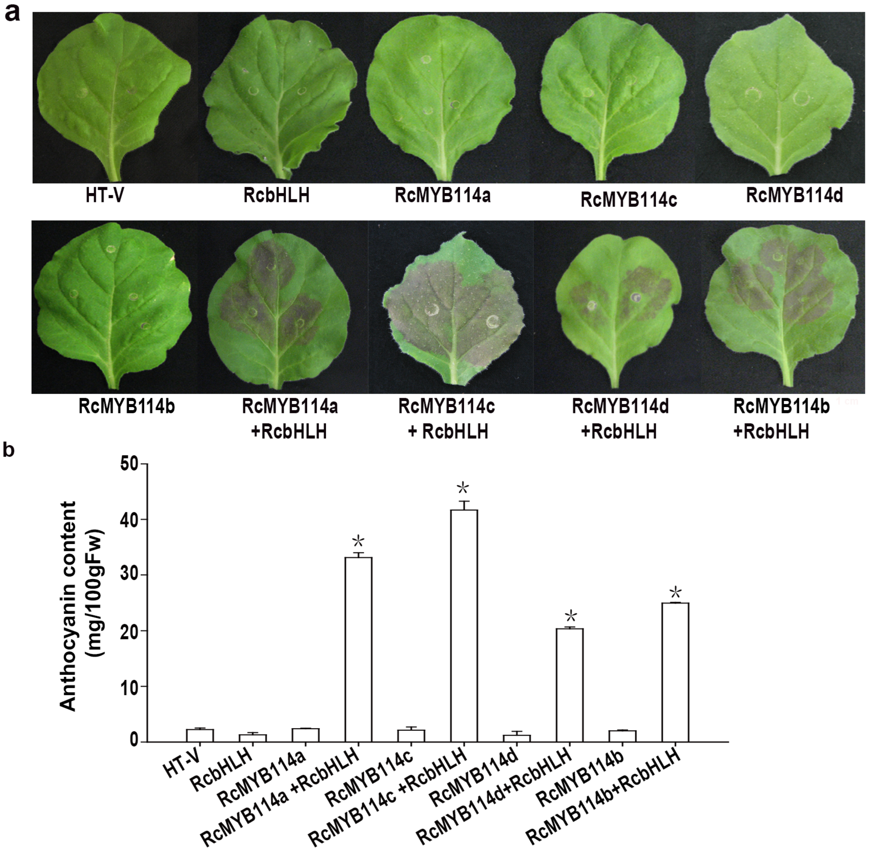 Biology 14 00258 g007