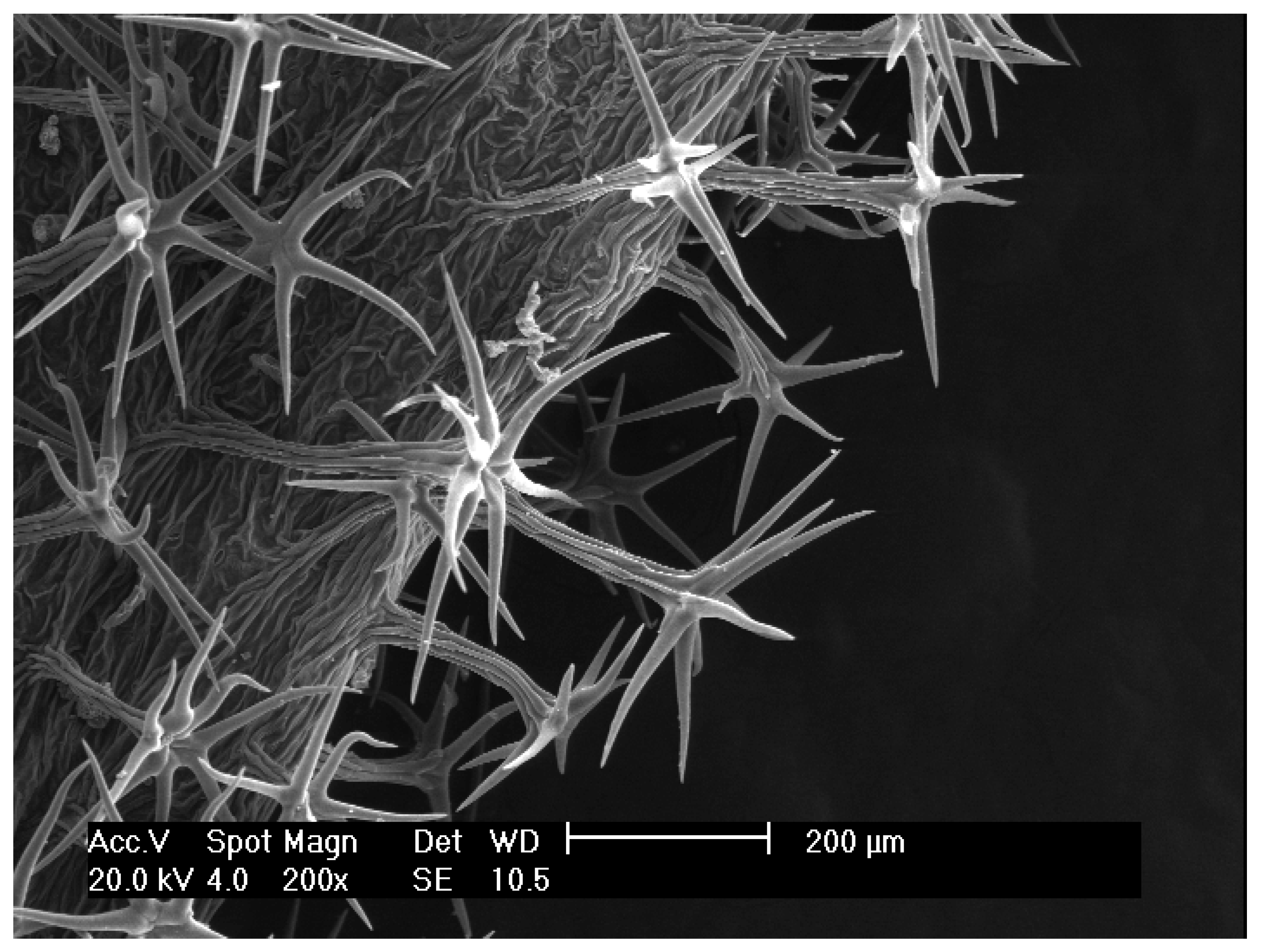 Biology 14 00259 g003