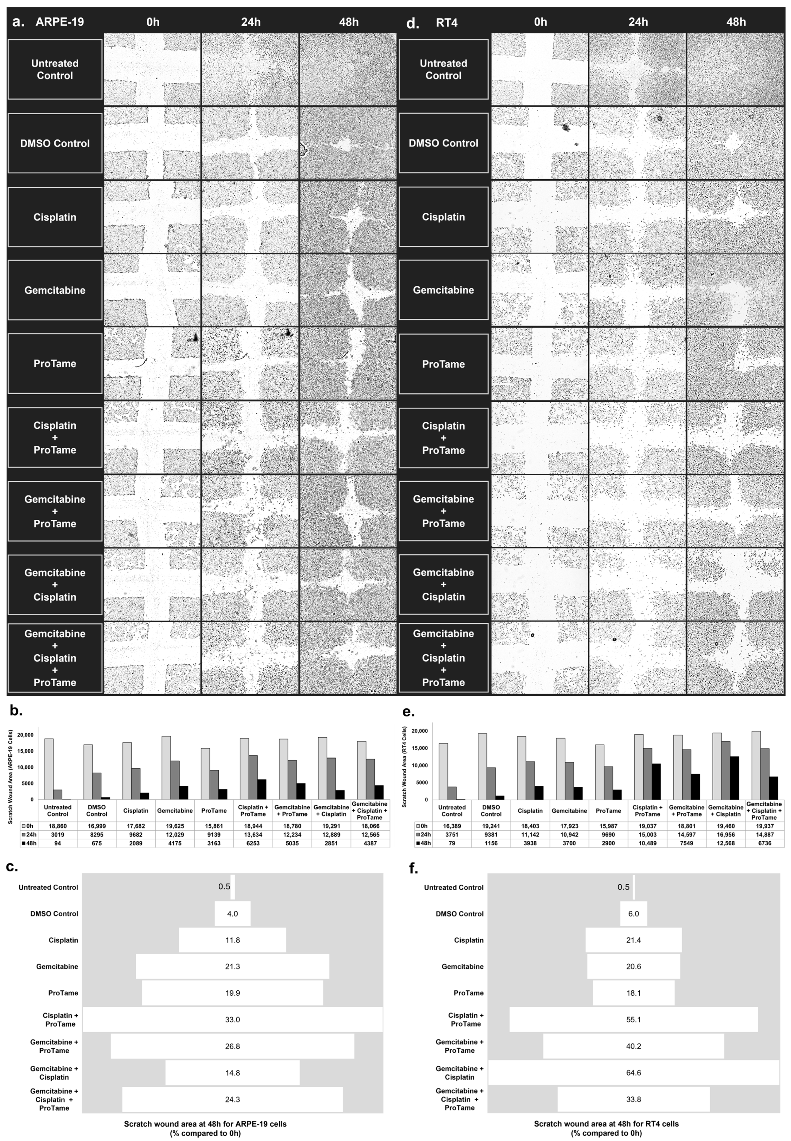 Biology 14 00263 g004