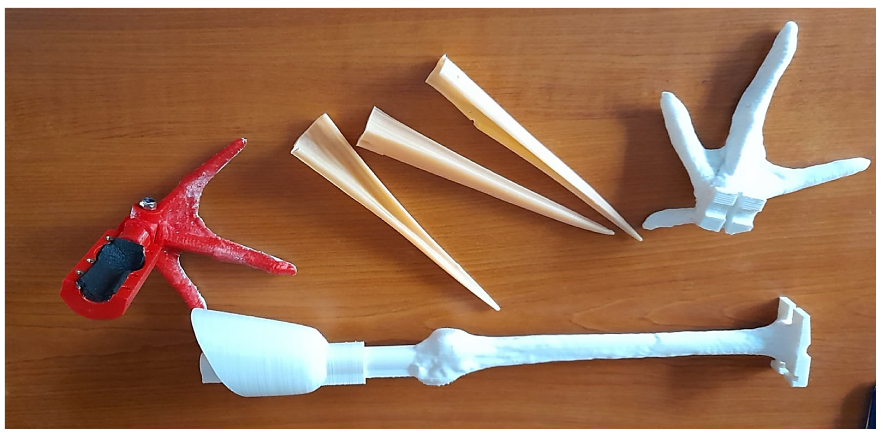 Biology 14 00265 g001