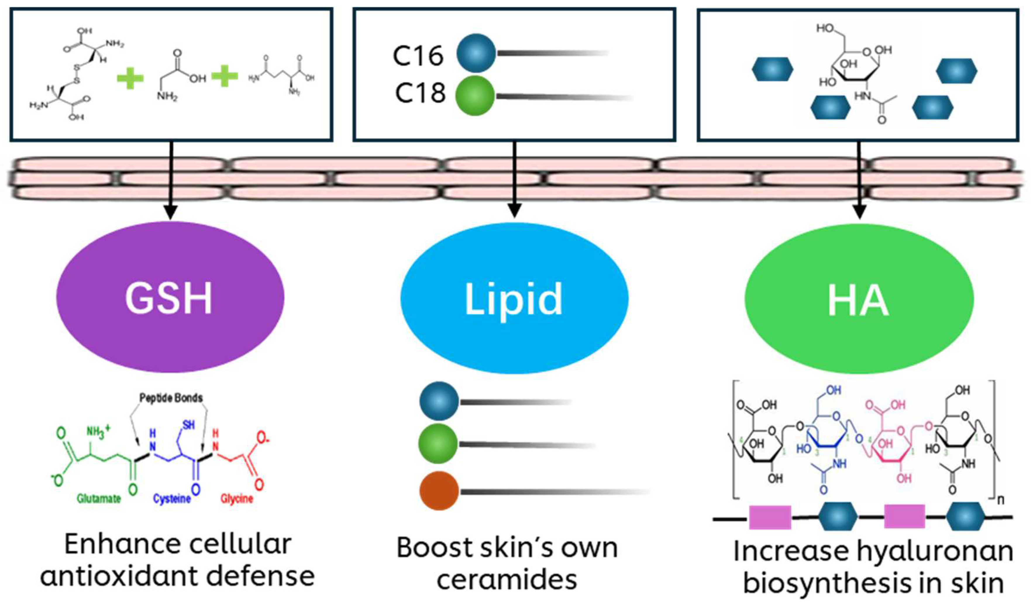 Biology 14 00266 g001 Biology 14 00266 g001