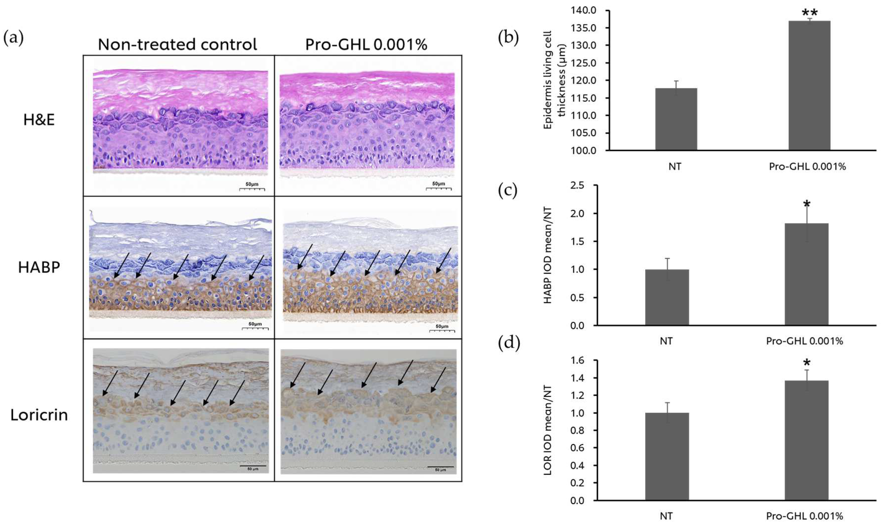 Biology 14 00266 g005 Biology 14 00266 g005