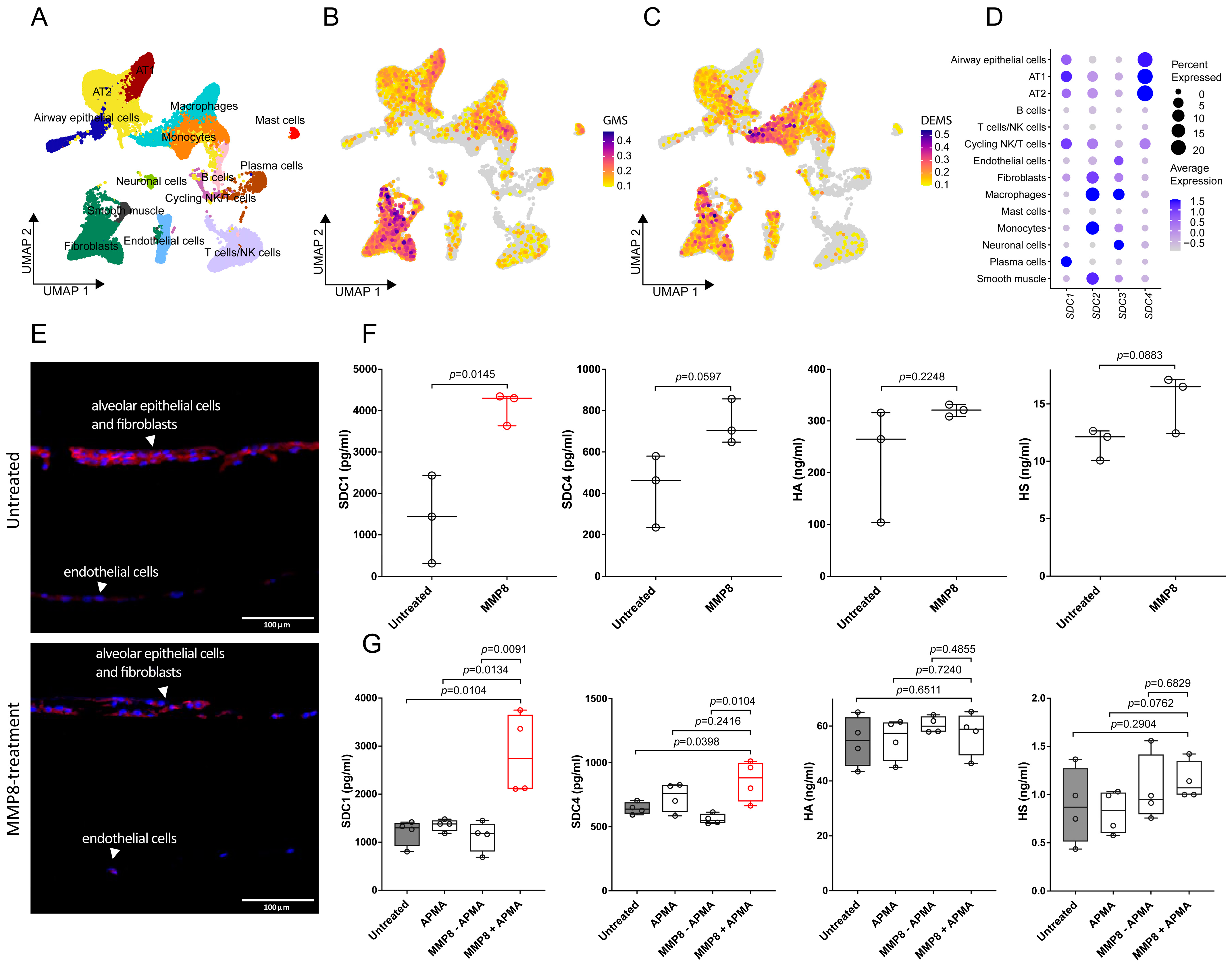 Biology 14 00269 g003