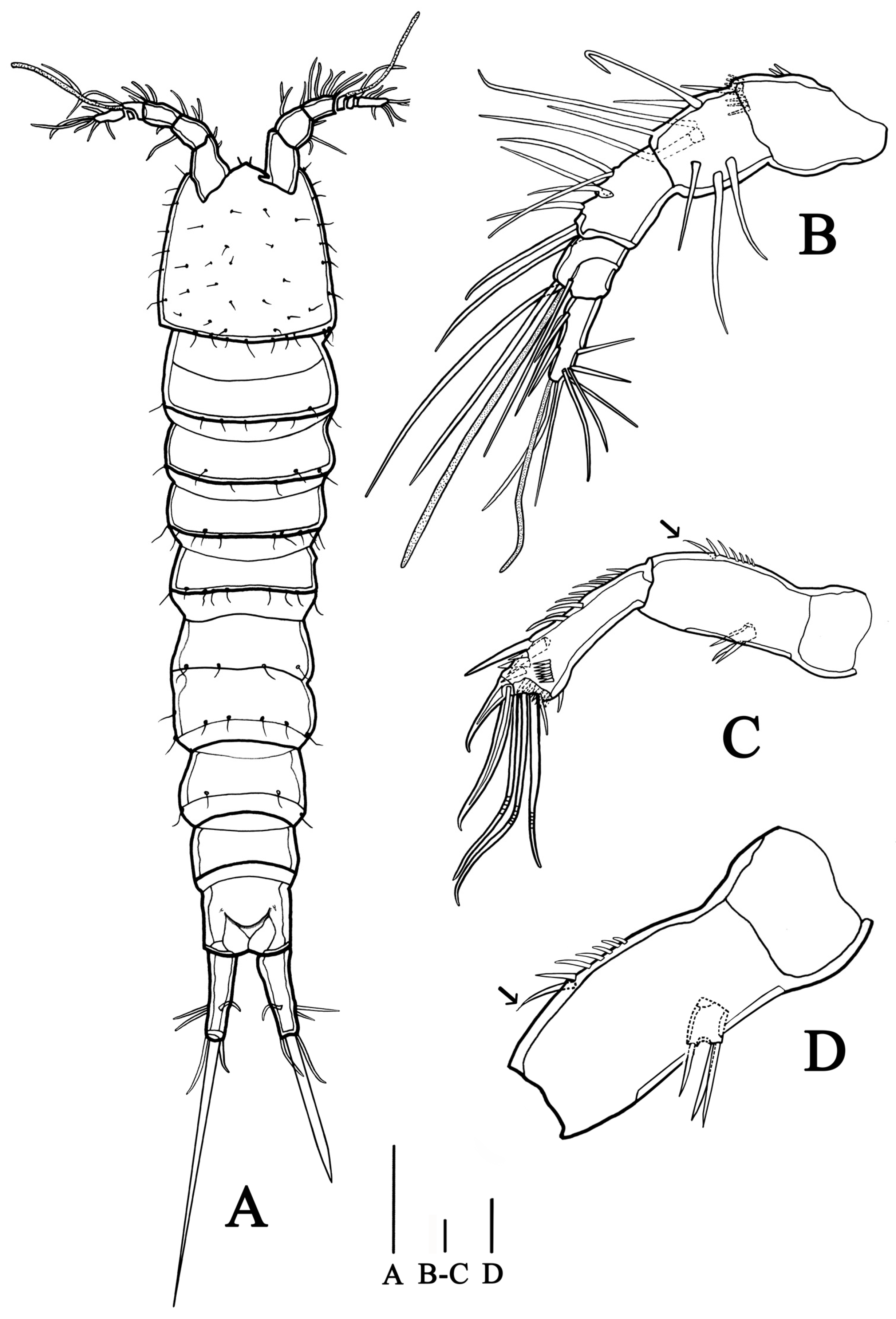 Biology 14 00271 g001