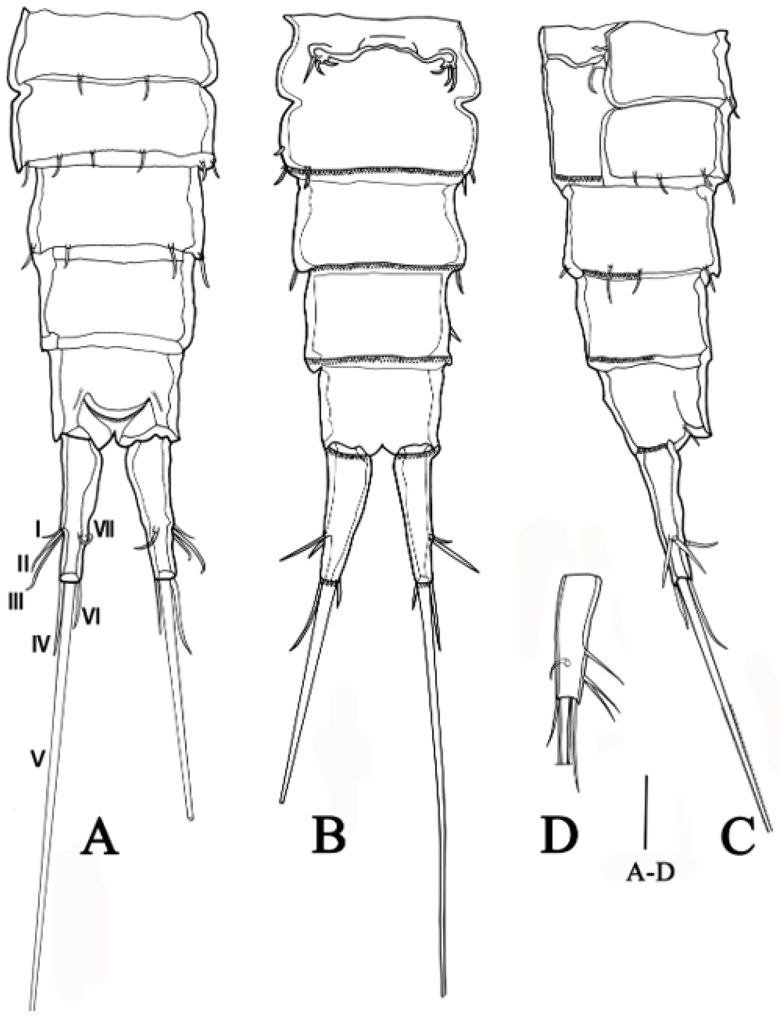 Biology 14 00271 g002