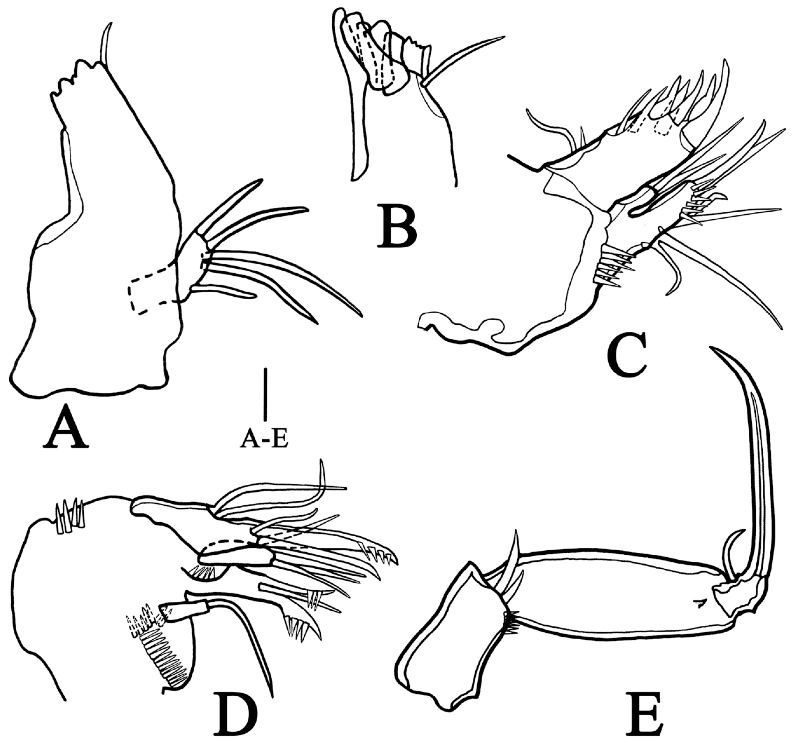 Biology 14 00271 g003